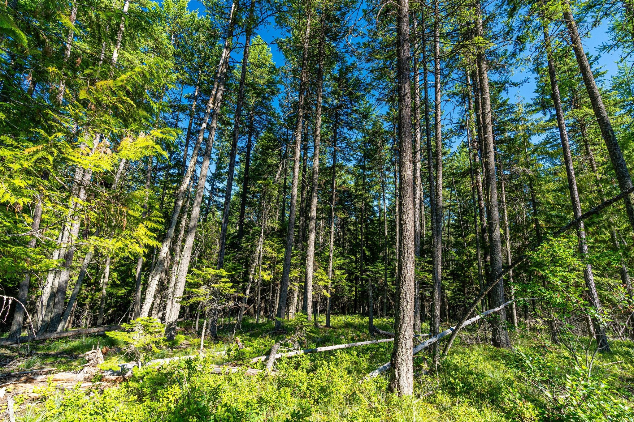 Nhn Big Mountain Road Property Photo 19