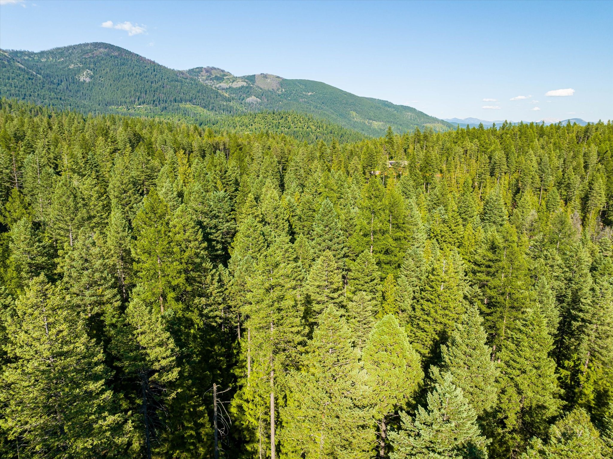 Nhn Big Mountain Road Property Photo 23