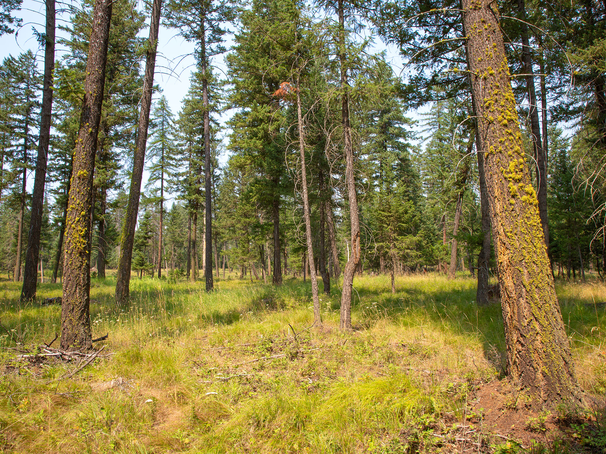 415 Bowdish Road Property Photo 1