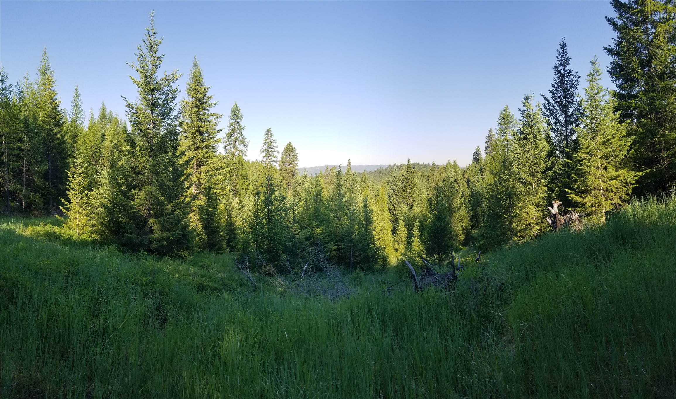 E Half Lot 2a Haywire Gulch Property Photo 1