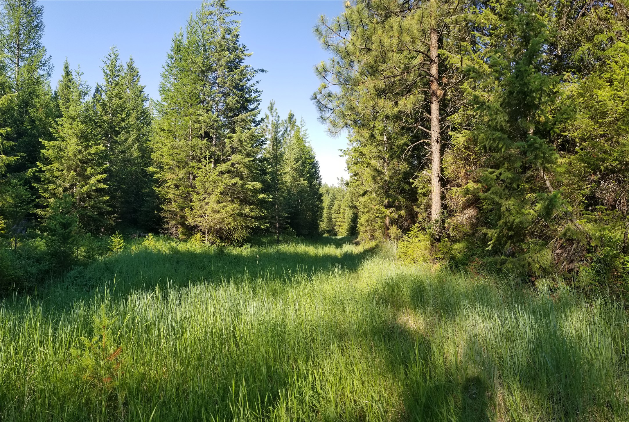 E Half Lot 2a Haywire Gulch Property Photo 2