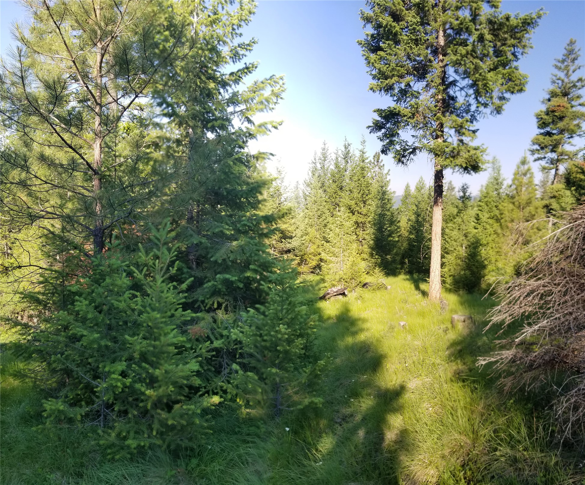 E Half Lot 2a Haywire Gulch Property Photo 3