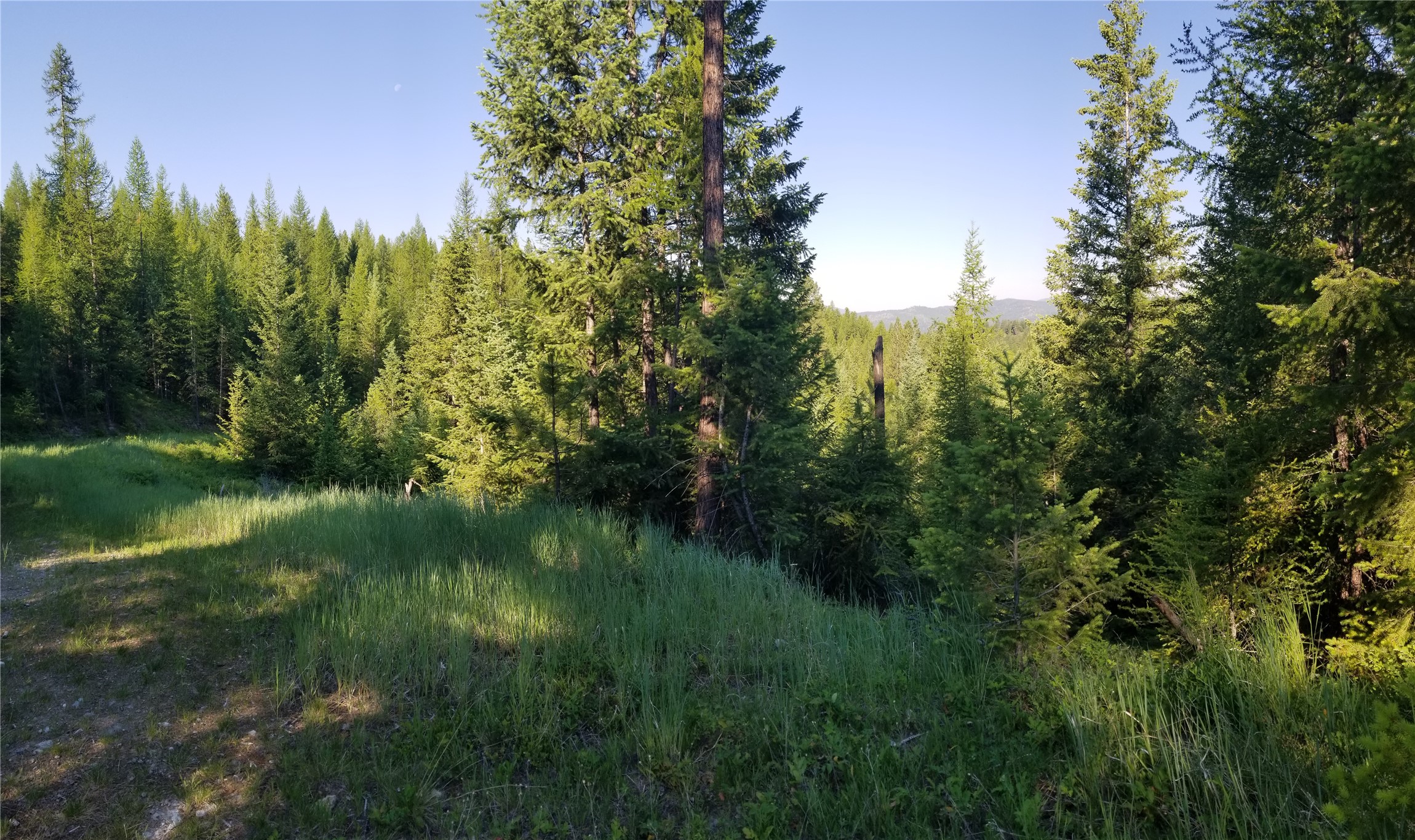 E Half Lot 2a Haywire Gulch Property Photo 4