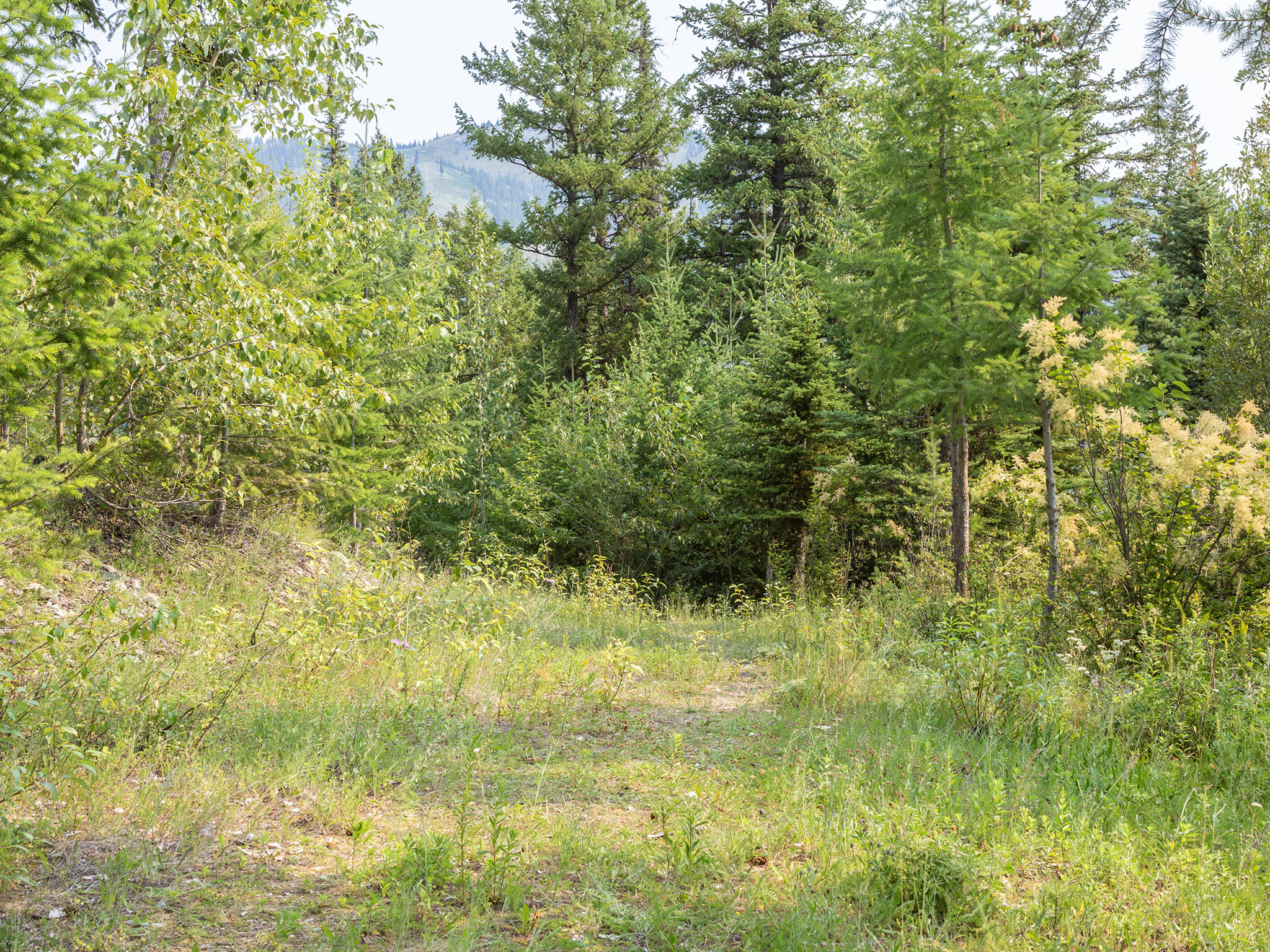 182 Ridge Run Drive Property Photo 69