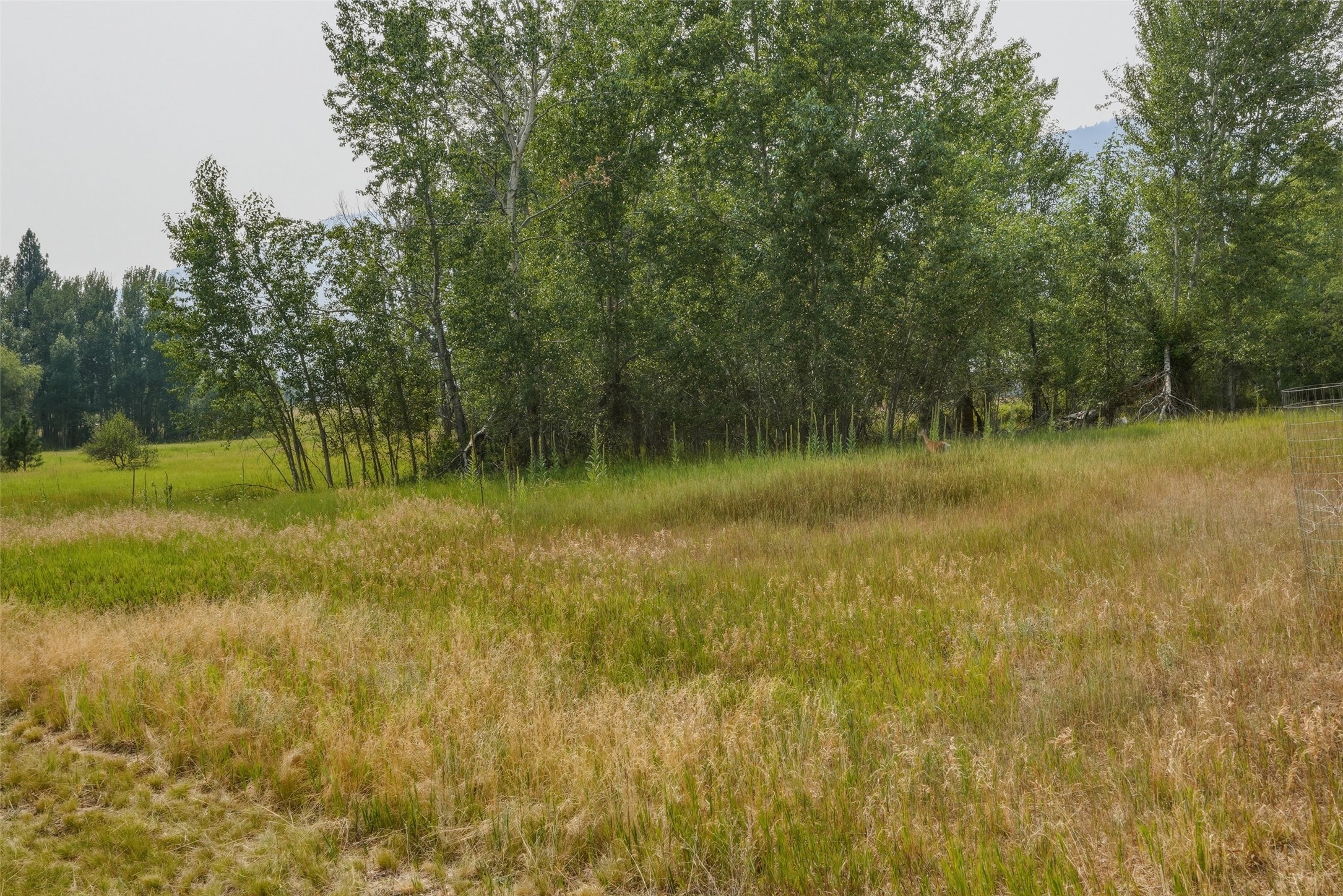 280 Indian Prairie Loop Property Photo 37