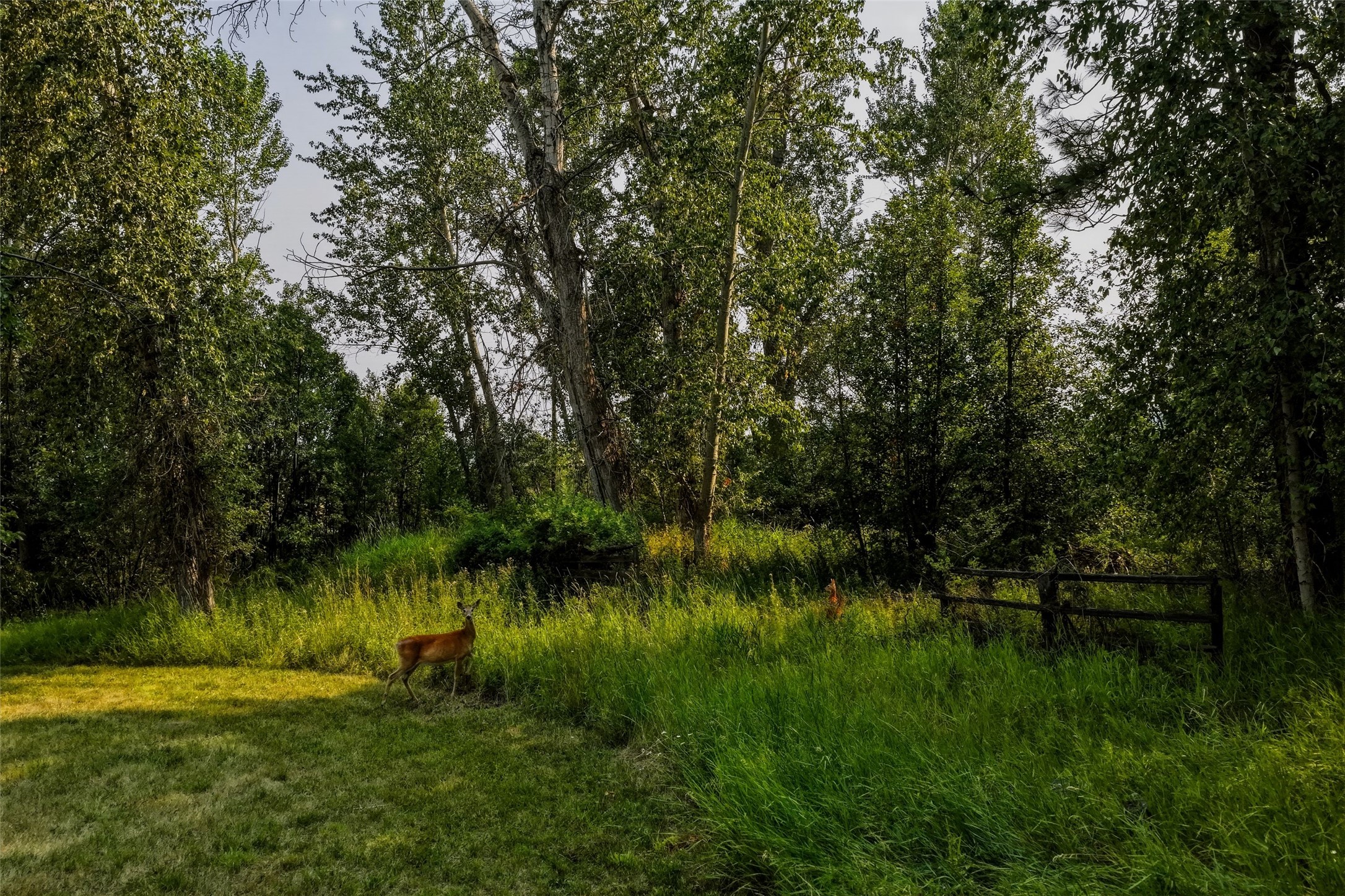 280 Indian Prairie Loop Property Photo 60