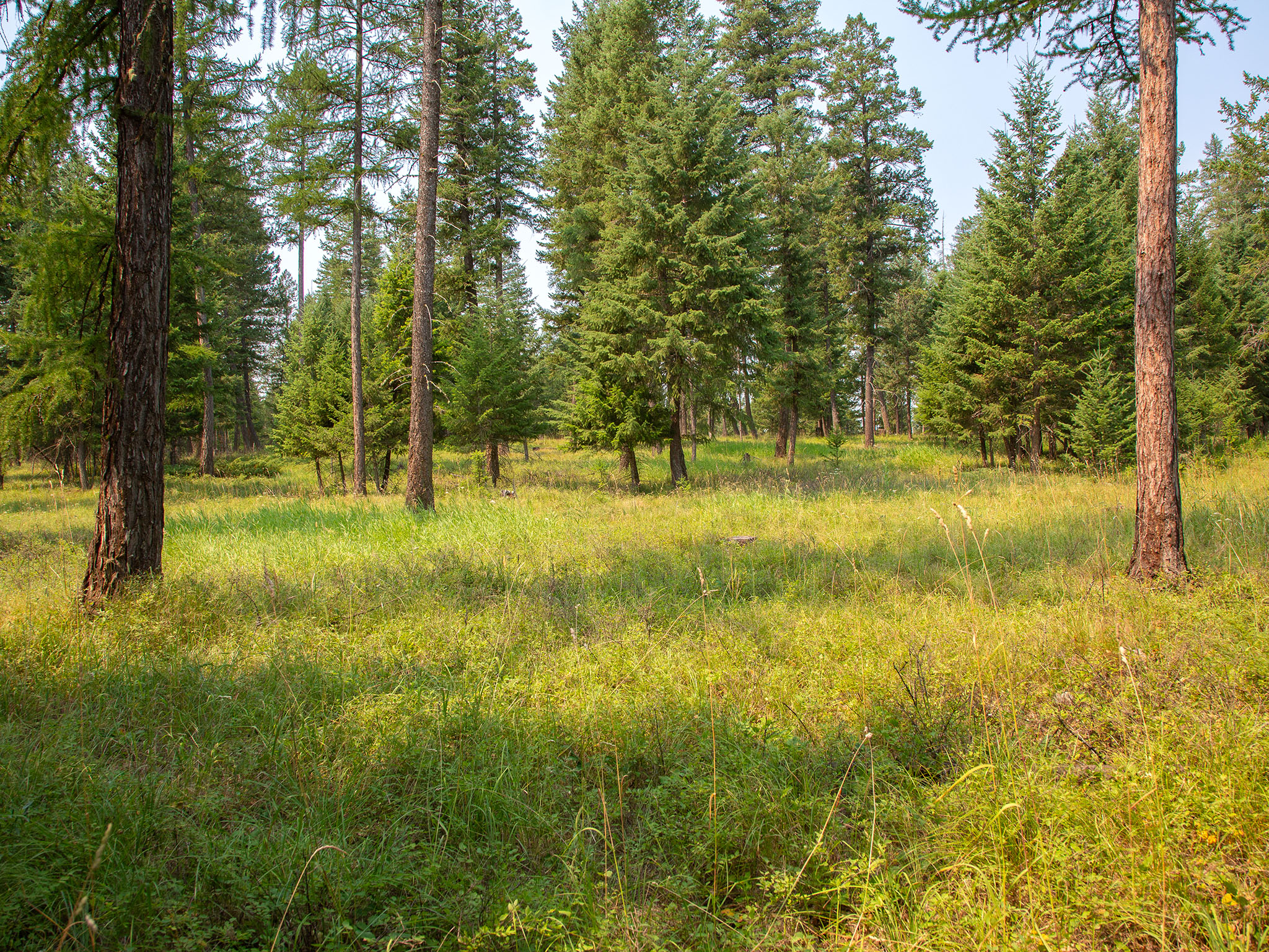 Nhn Bowdish Road Property Photo 2