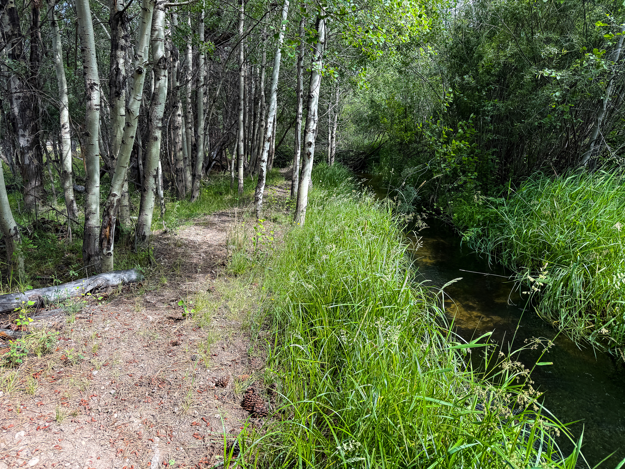 Nhn Hwy 93 S Property Photo 11