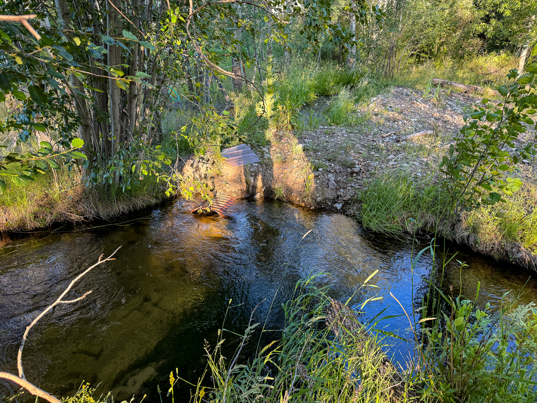 Nhn Hwy 93 S Property Photo 14