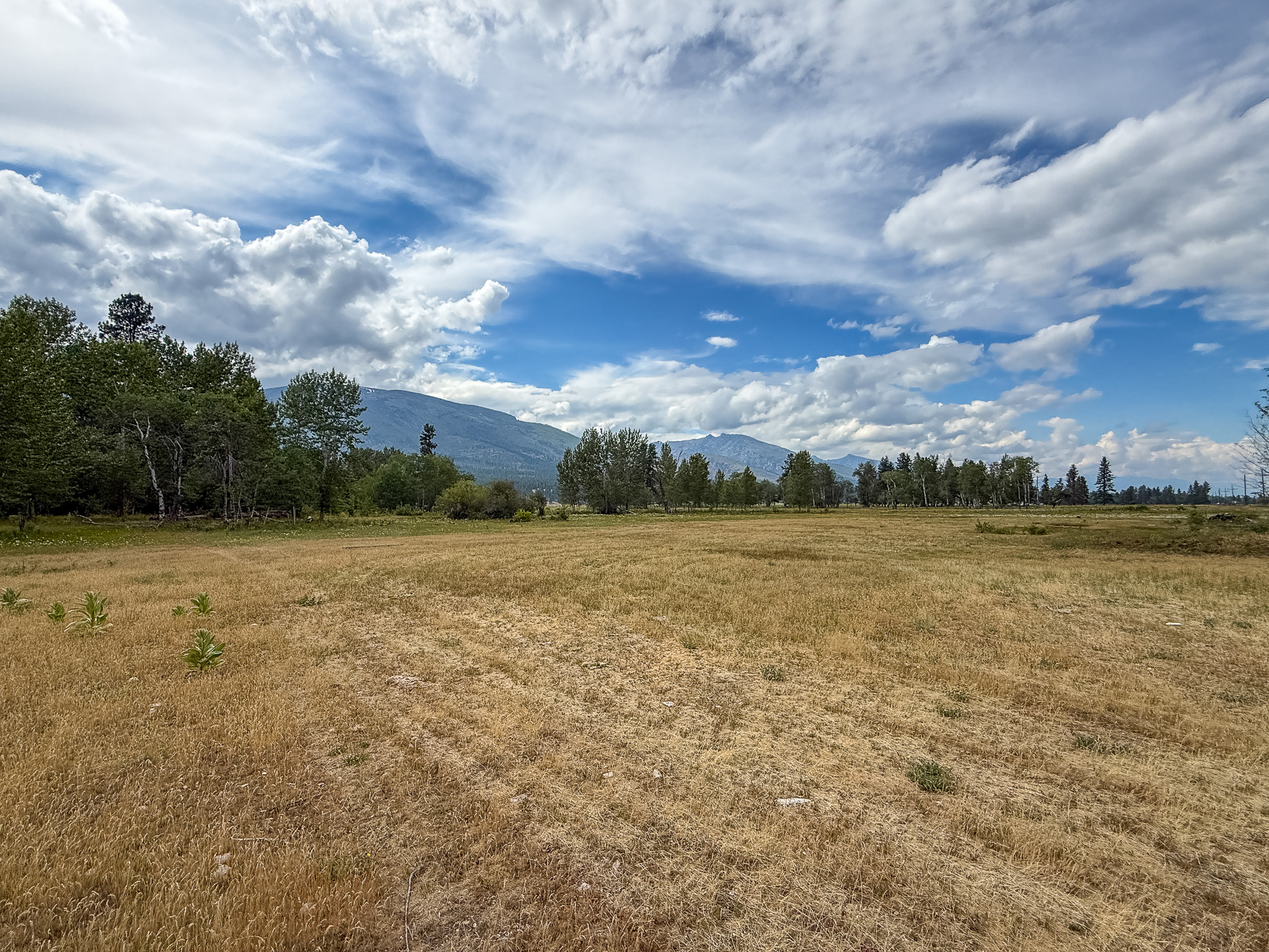 Nhn Hwy 93 S Property Photo 15