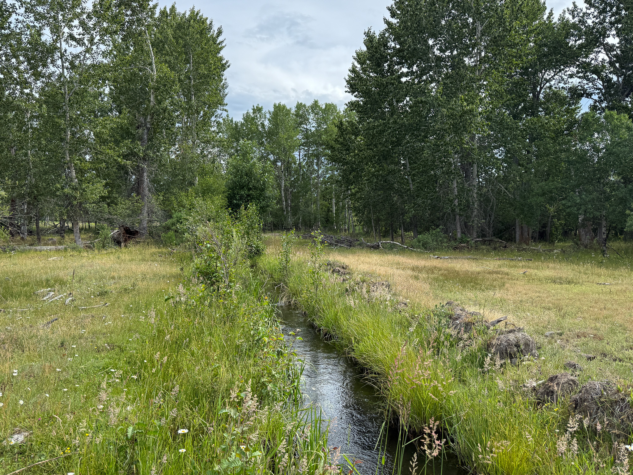 Nhn Hwy 93 S Property Photo 41