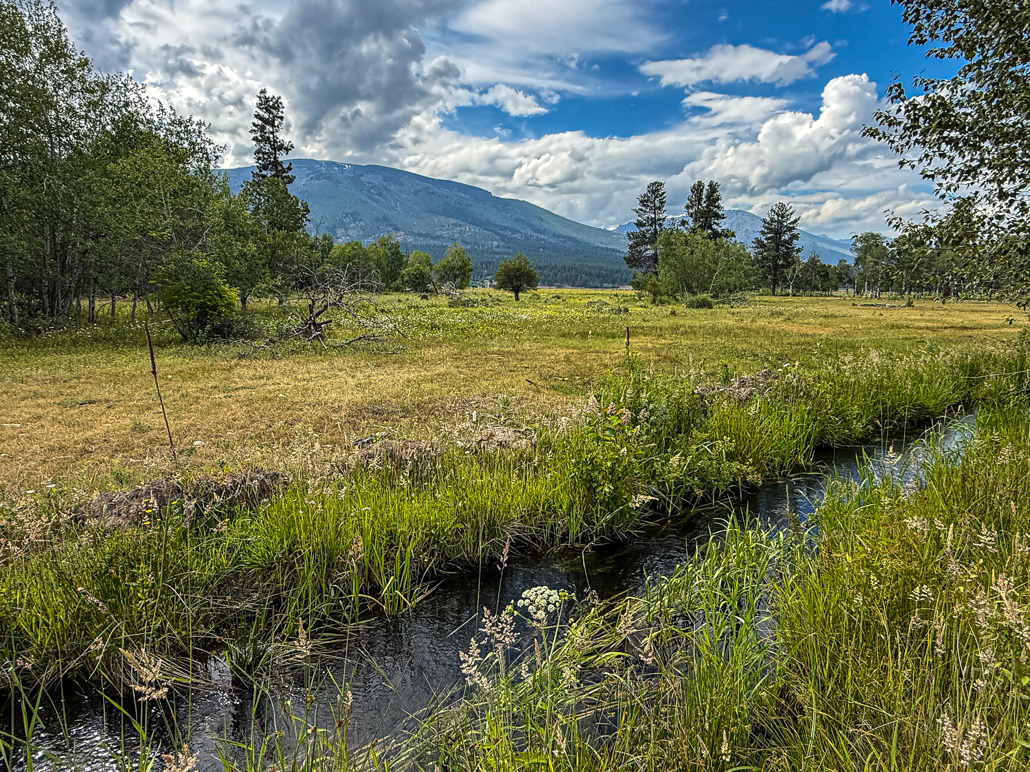 Nhn Hwy 93 S Property Photo 45
