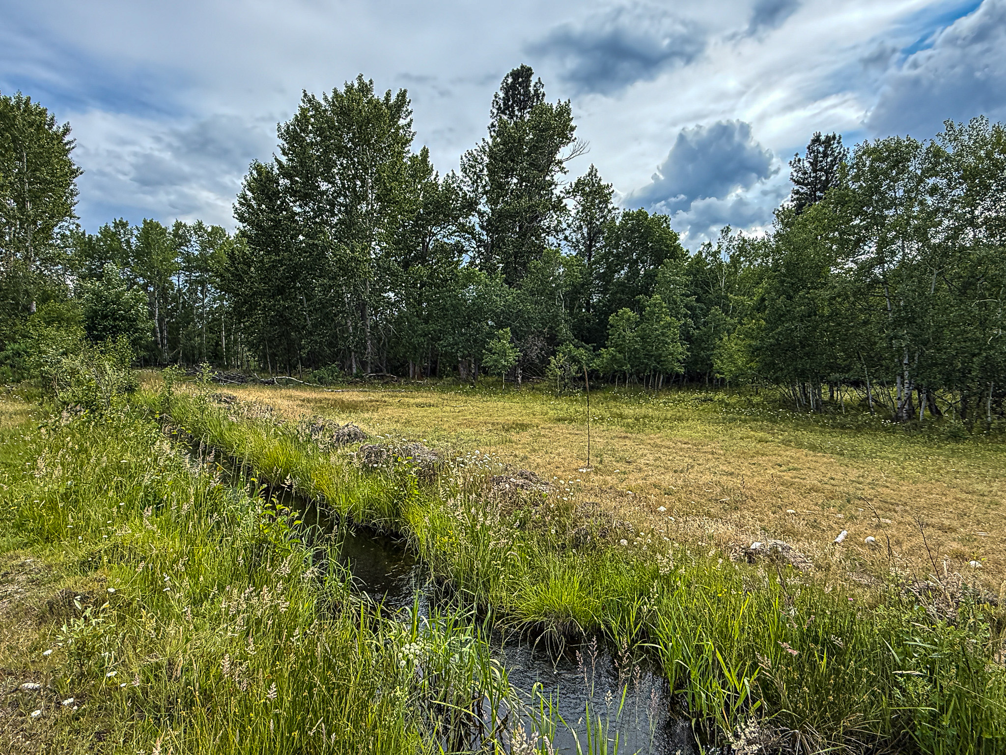 Nhn Hwy 93 S Property Photo 46