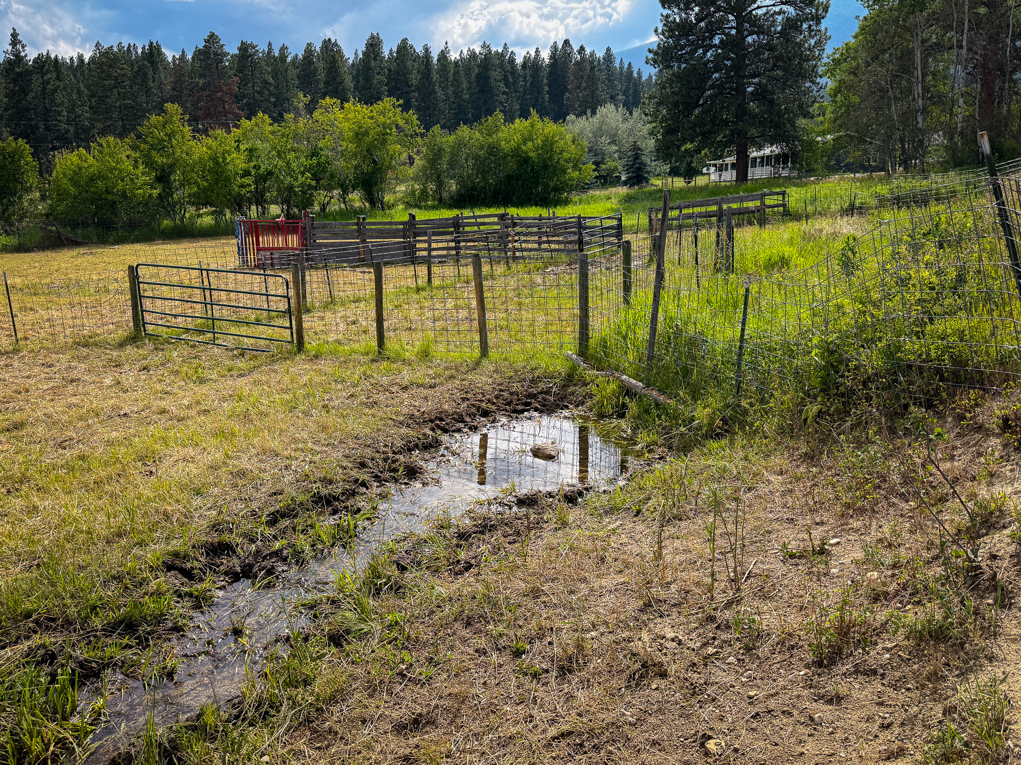 Nhn Hwy 93 S Property Photo 50