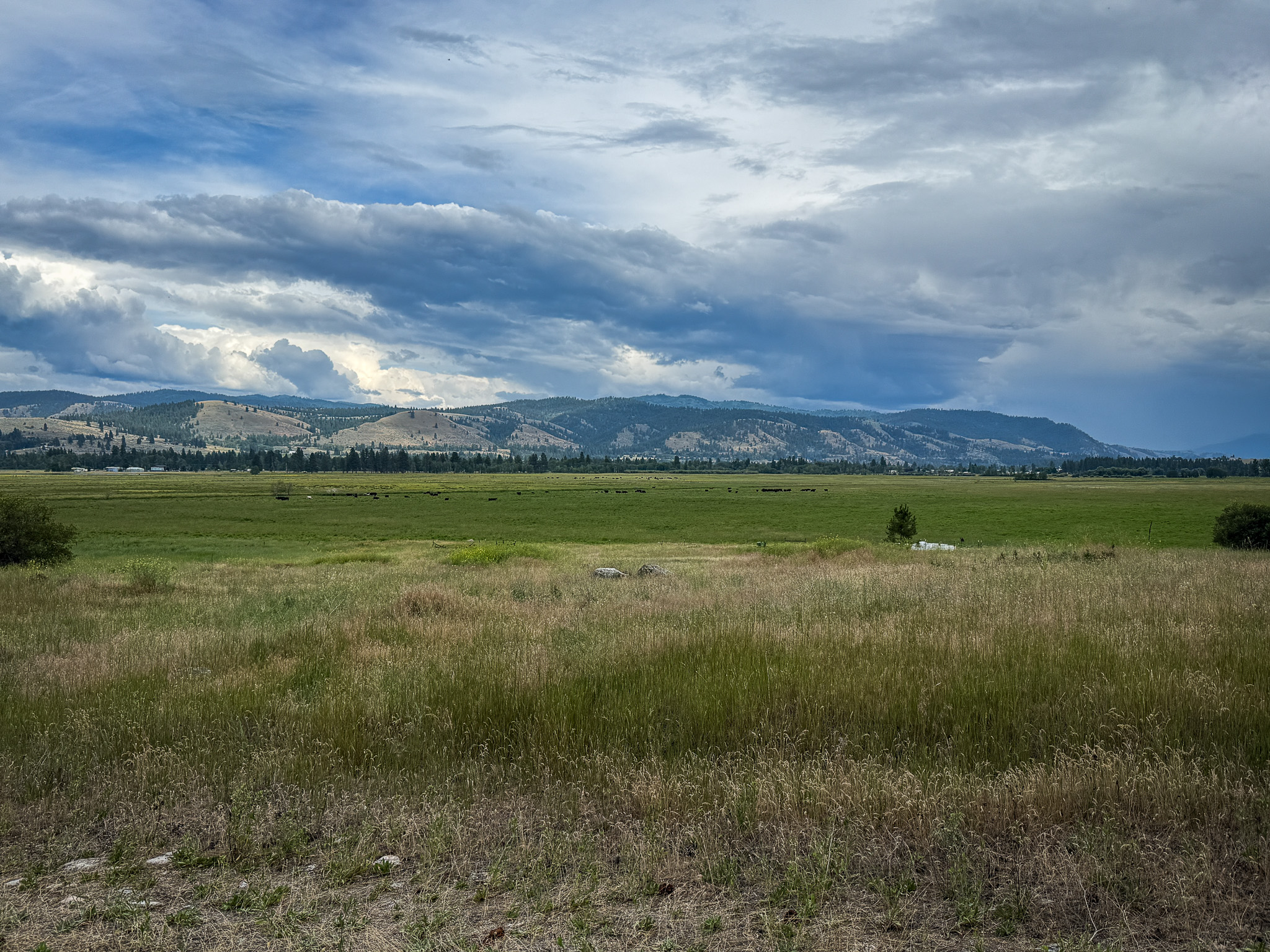 Nhn Hwy 93 S Property Photo 55