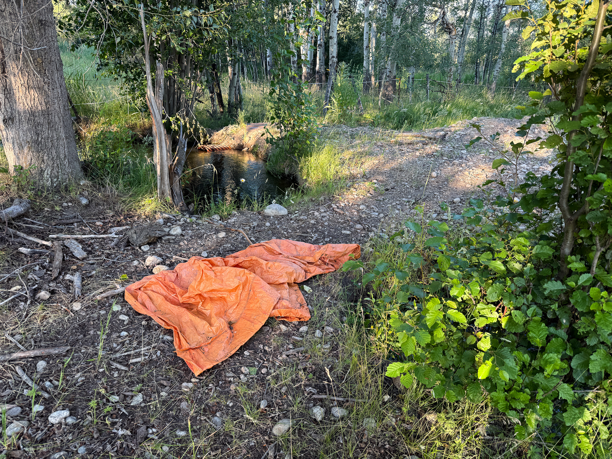 Nhn Hwy 93 S Property Photo 63