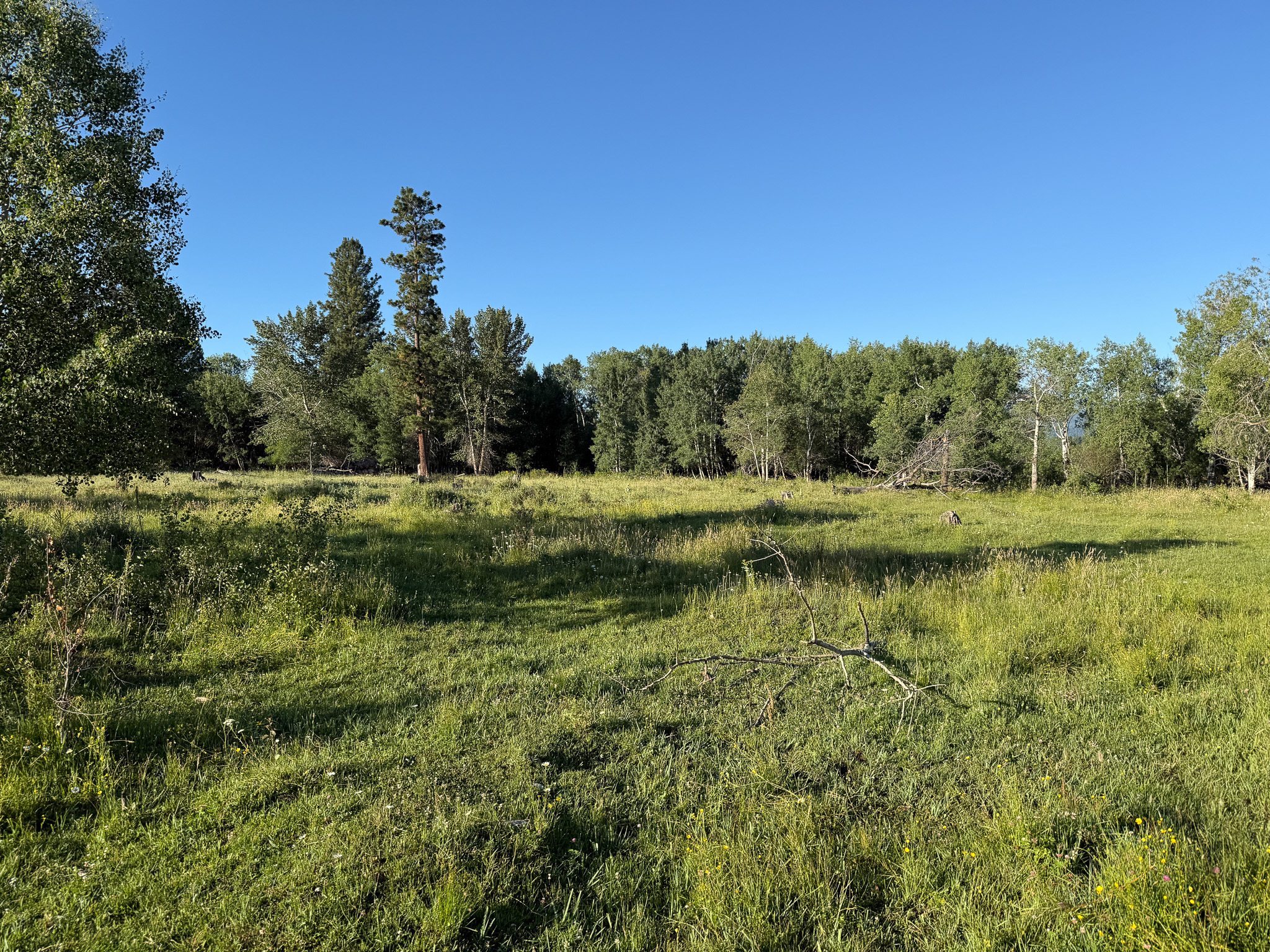 Nhn Hwy 93 S Property Photo 75