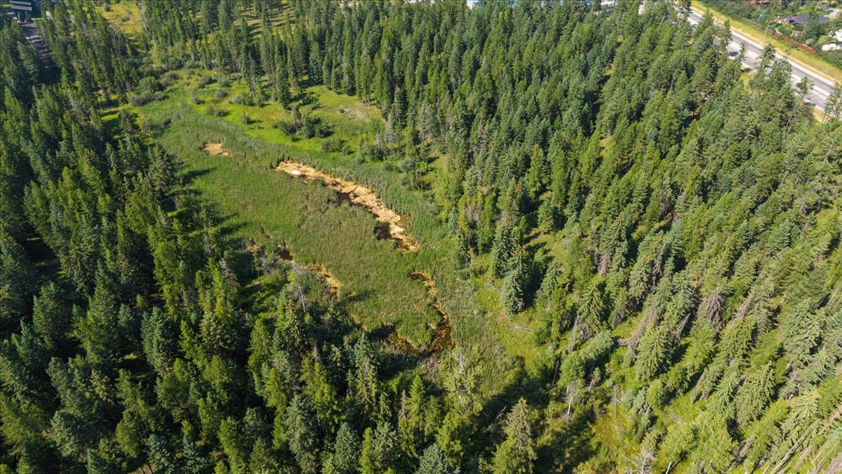 4950 Us Highway 93 S Property Photo 17