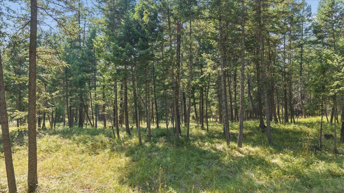 4950 Us Hwy 93 S Property Photo 8