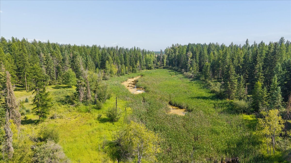4950 Us Hwy 93 S Property Photo 15