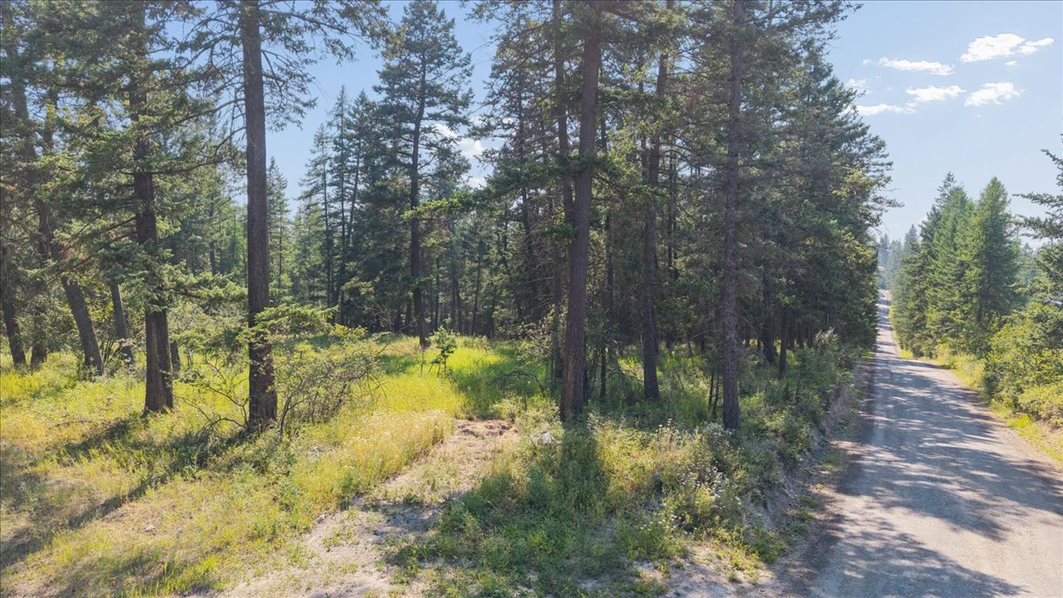4950 Us Hwy 93 S Property Photo 19