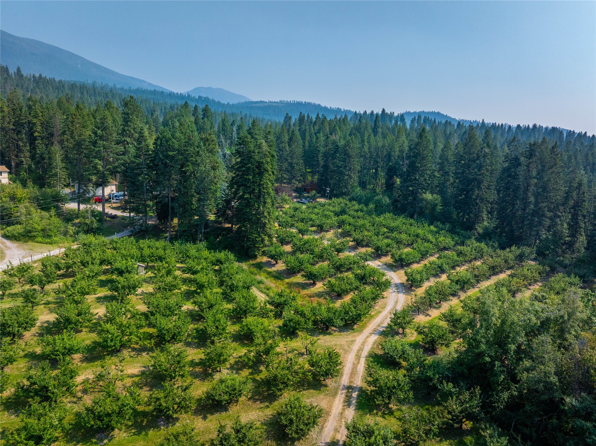 33588 Mt Hwy 35 Property Photo 1