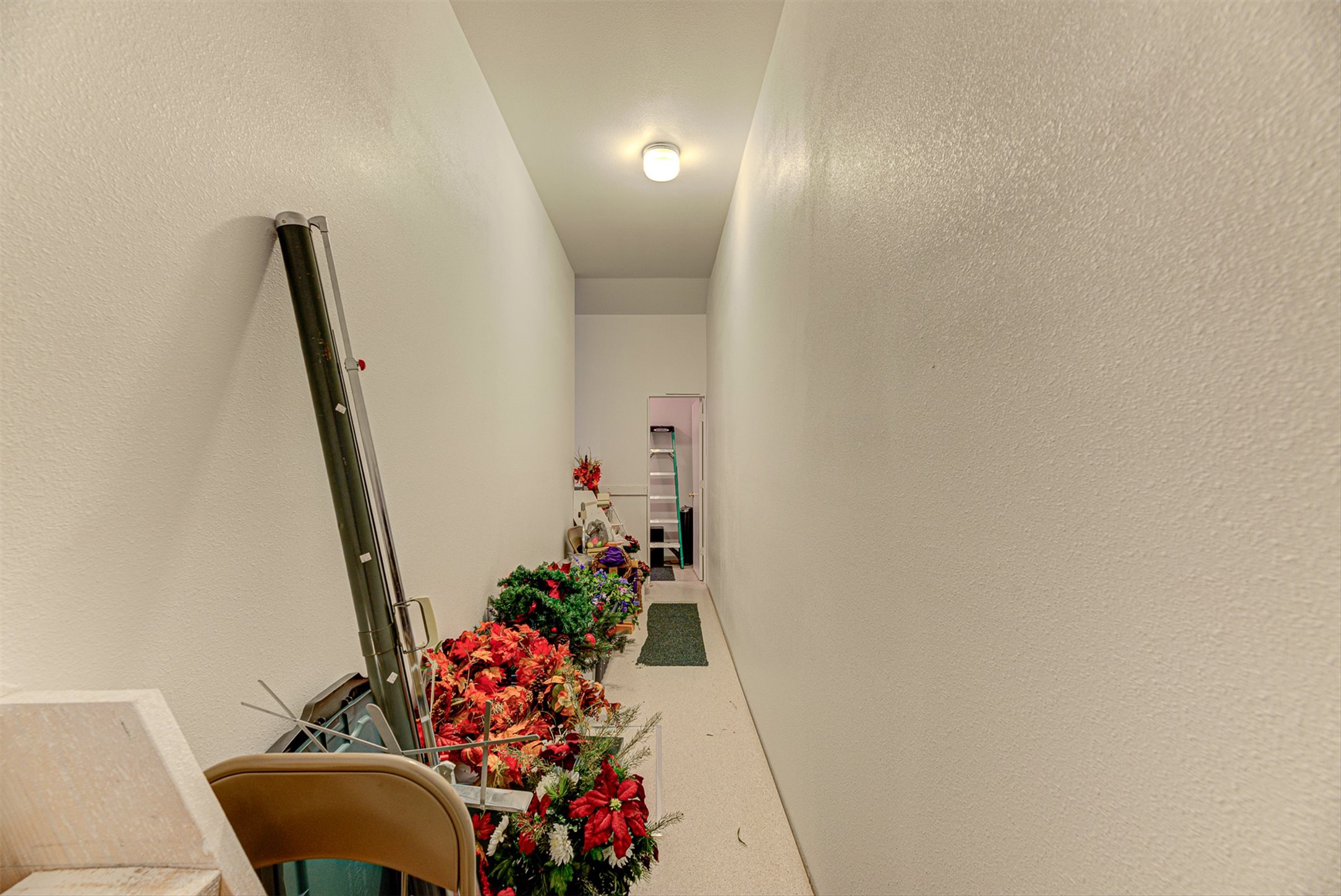 8279 Avocet Drive Property Photo 22