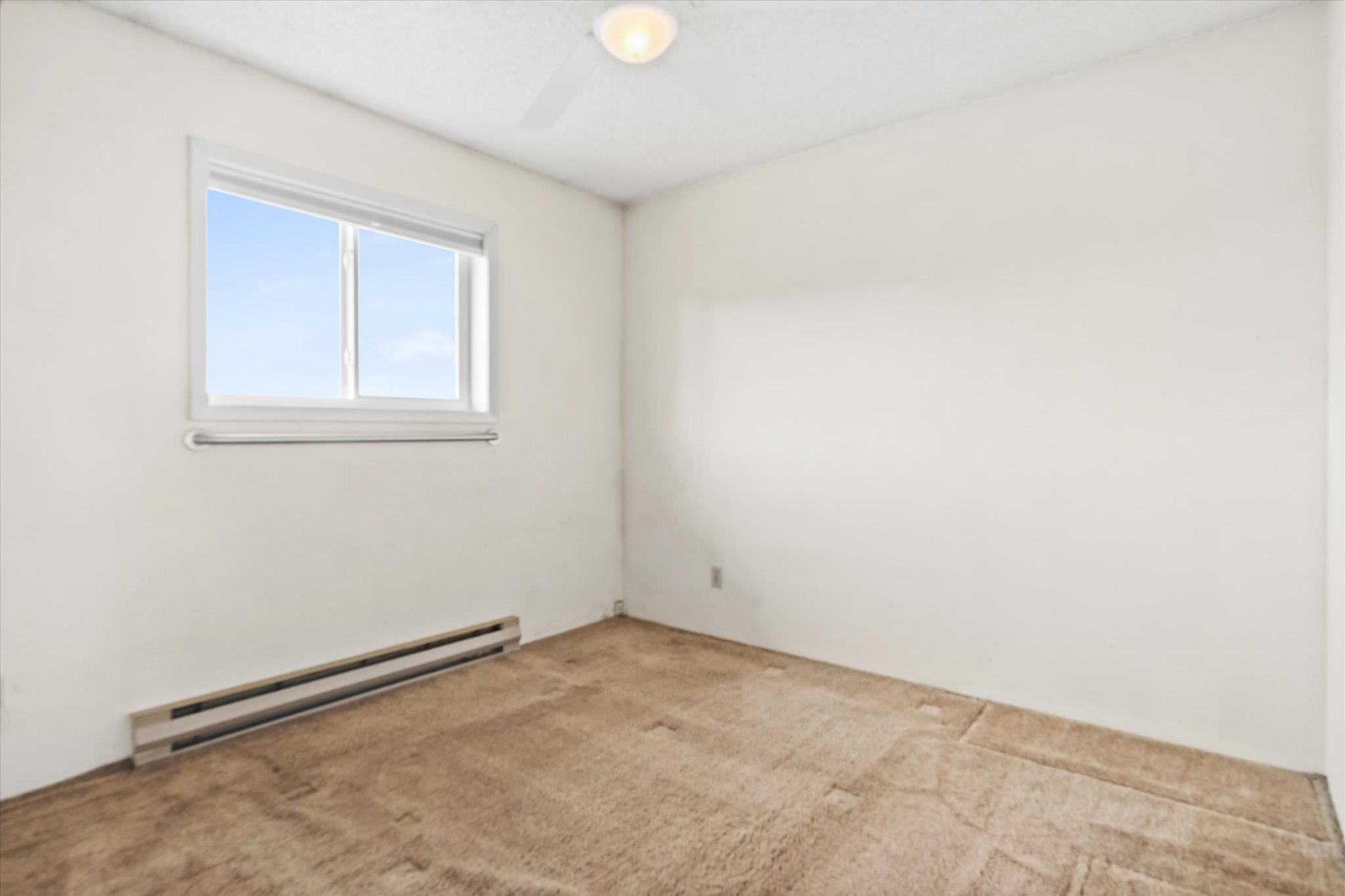 5 Lenore Lane Property Photo 17