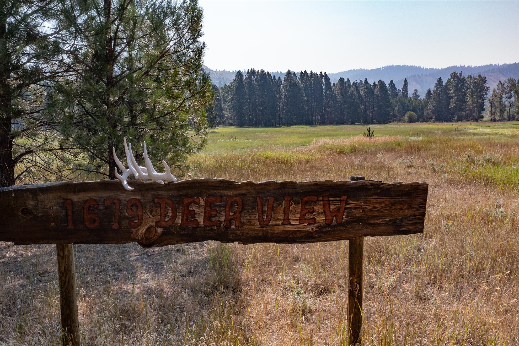 1679 Deer View Property Photo 1