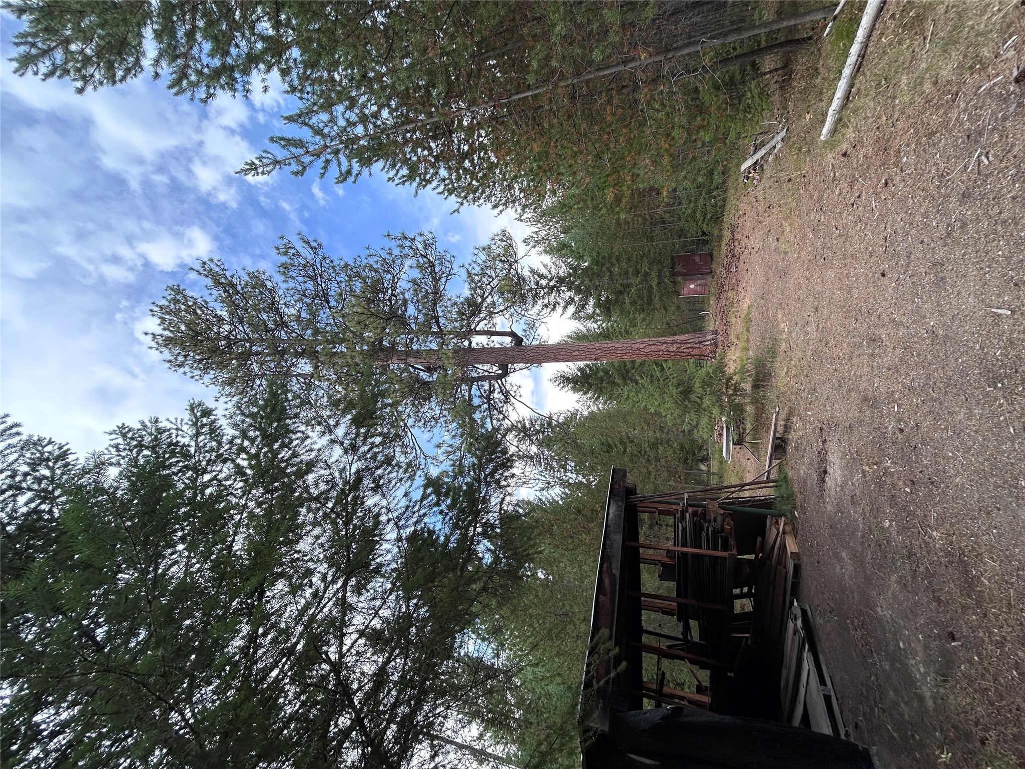 297 Cabin City Loop Property Photo 19