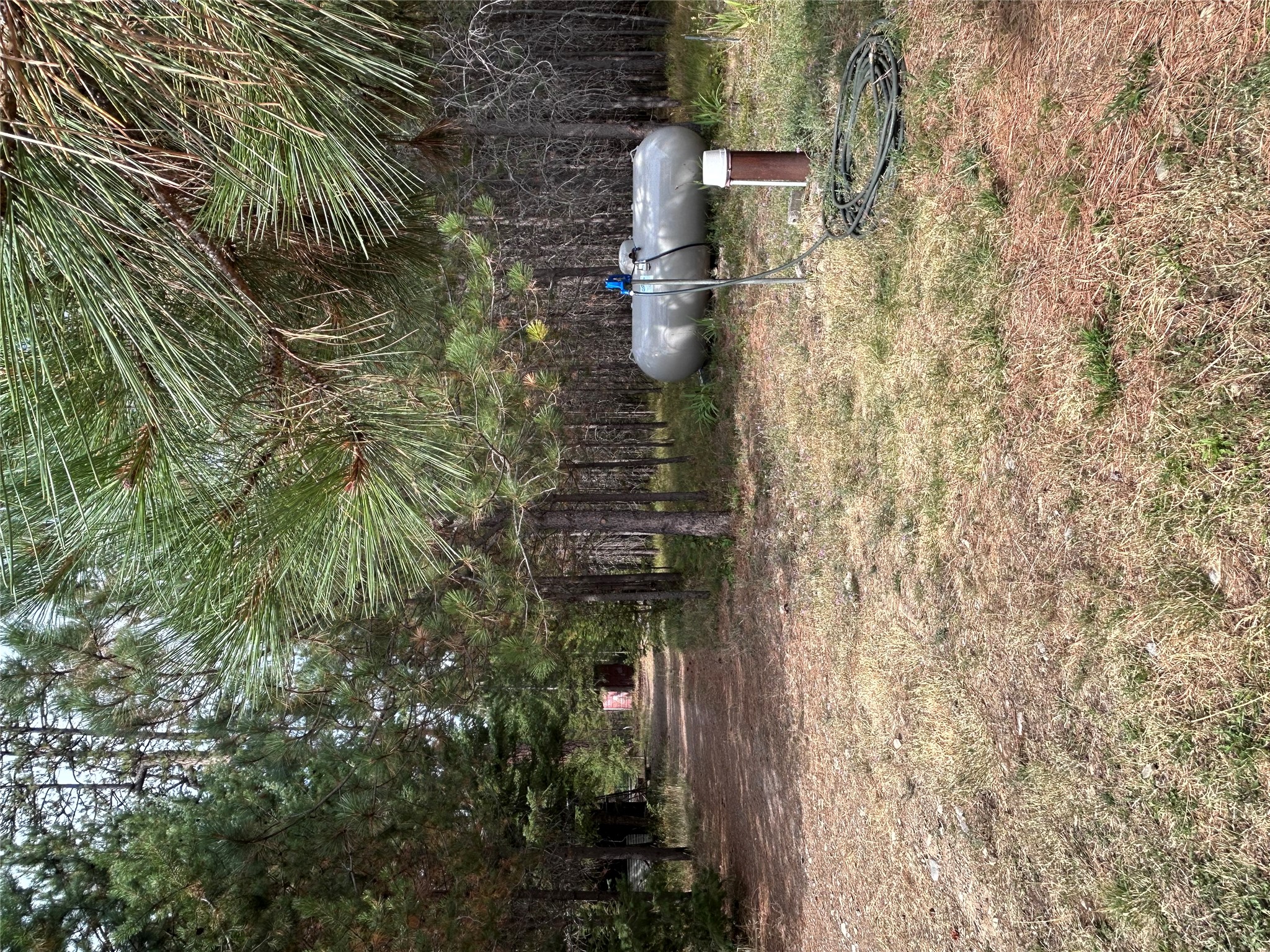 297 Cabin City Loop Property Photo 43