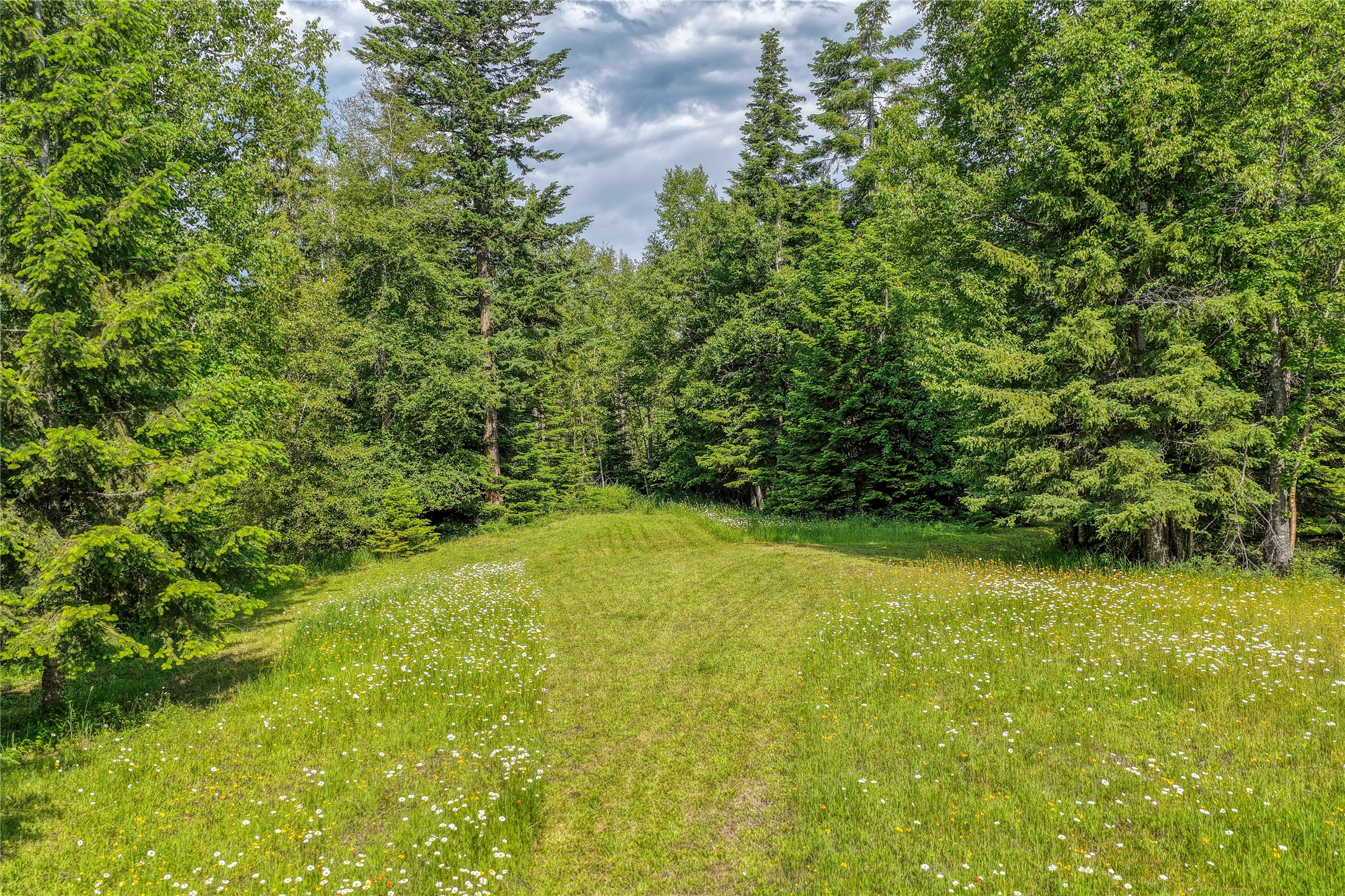 28012 Meadow Creek Road Property Photo 33