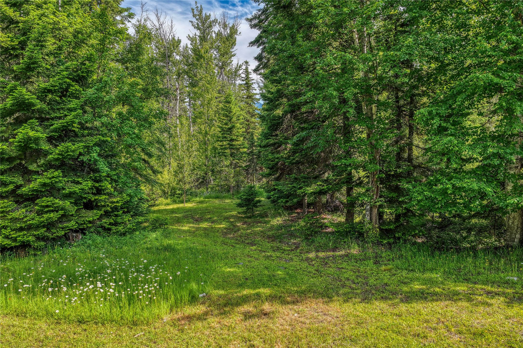28012 Meadow Creek Road Property Photo 34