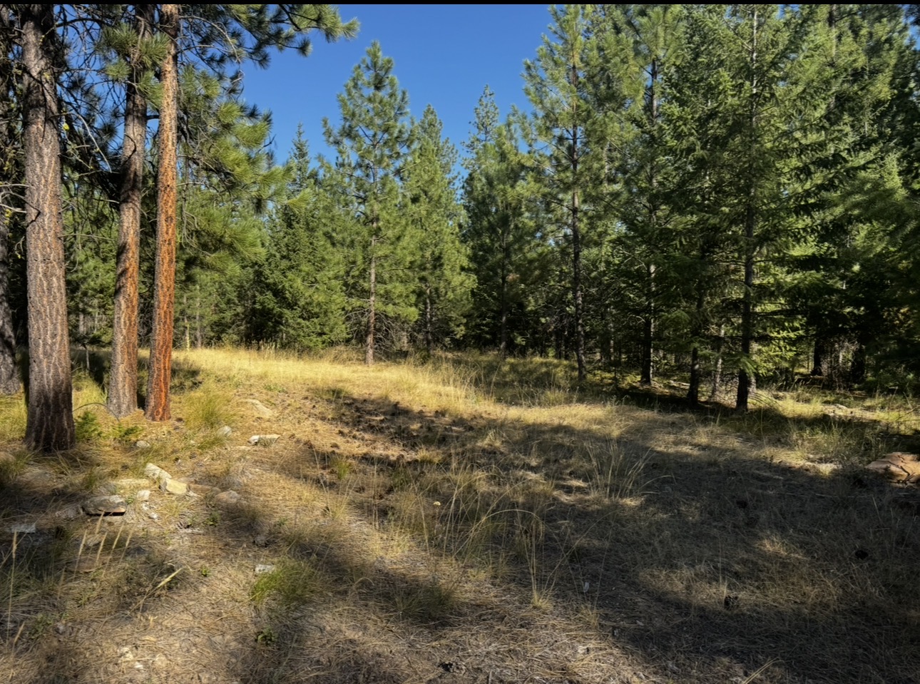 21278 Whitetail Ridge Road Property Photo 25