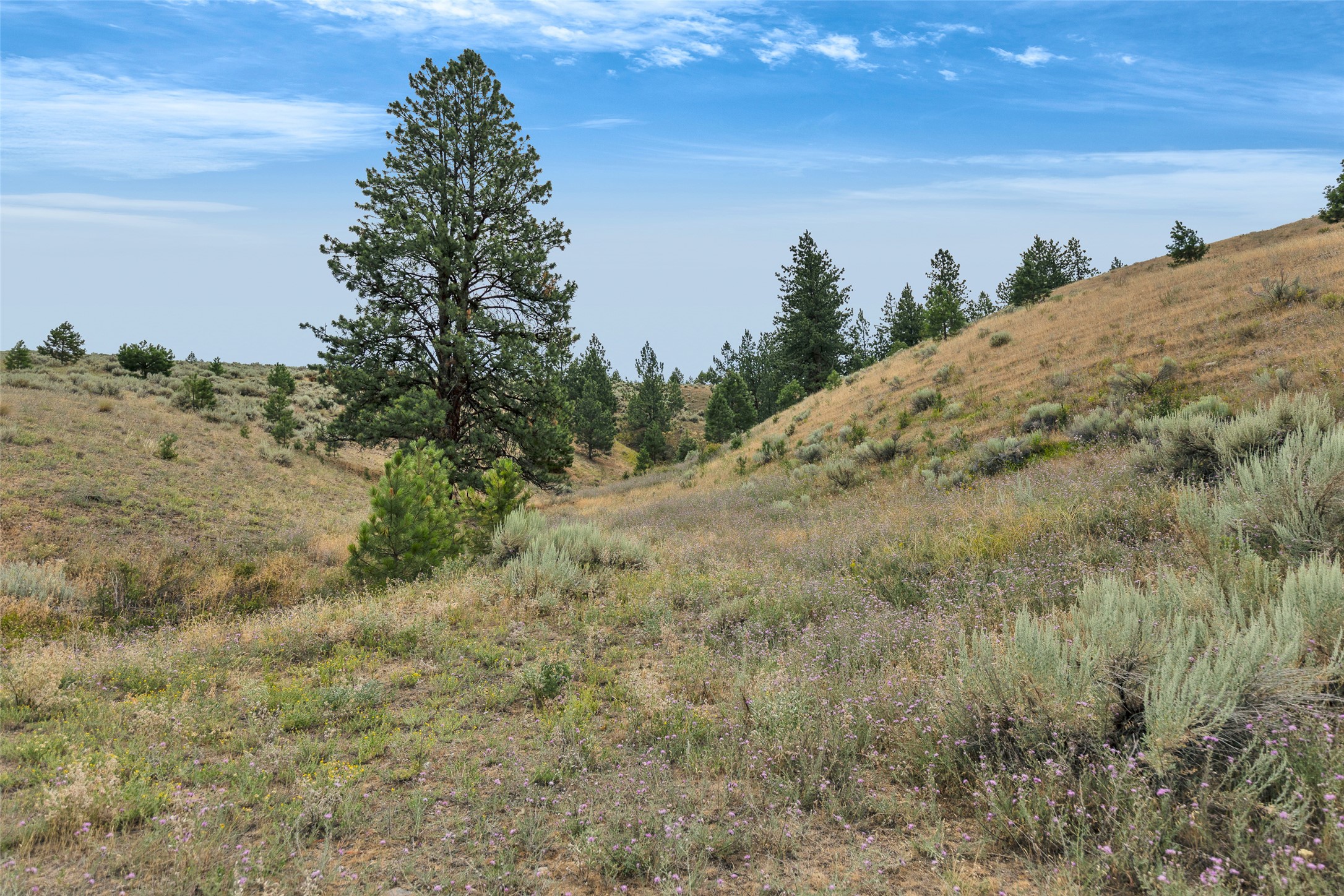 Nhn Granite Creek Road Property Photo 20