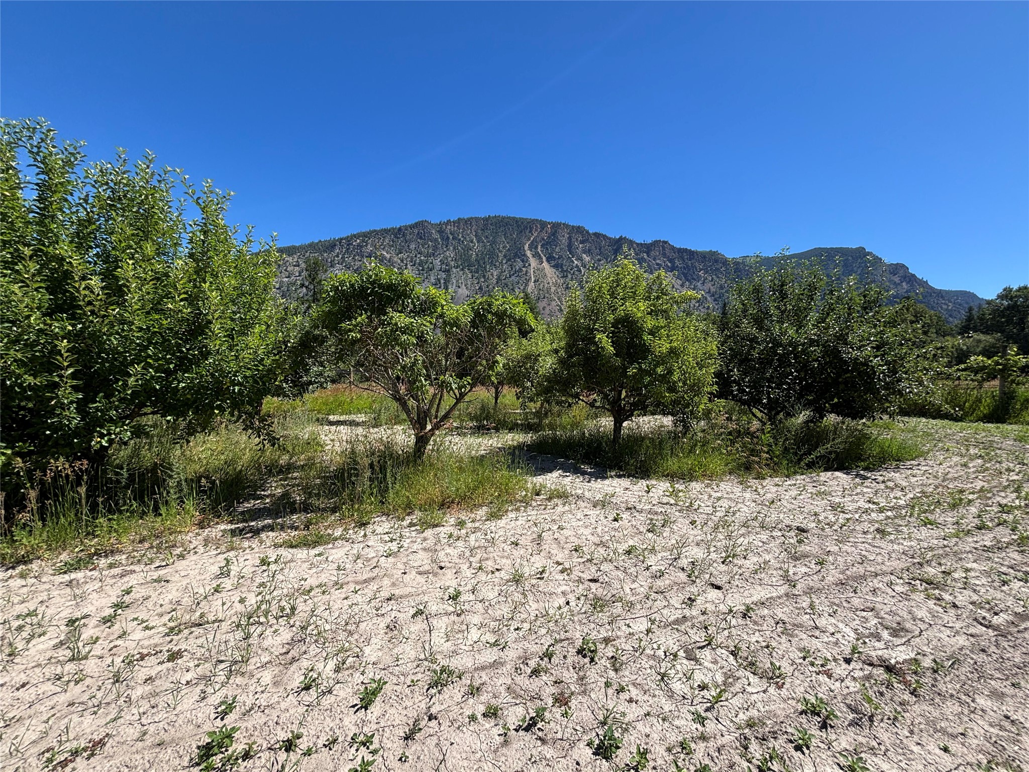 1484 River Road W Property Photo 115