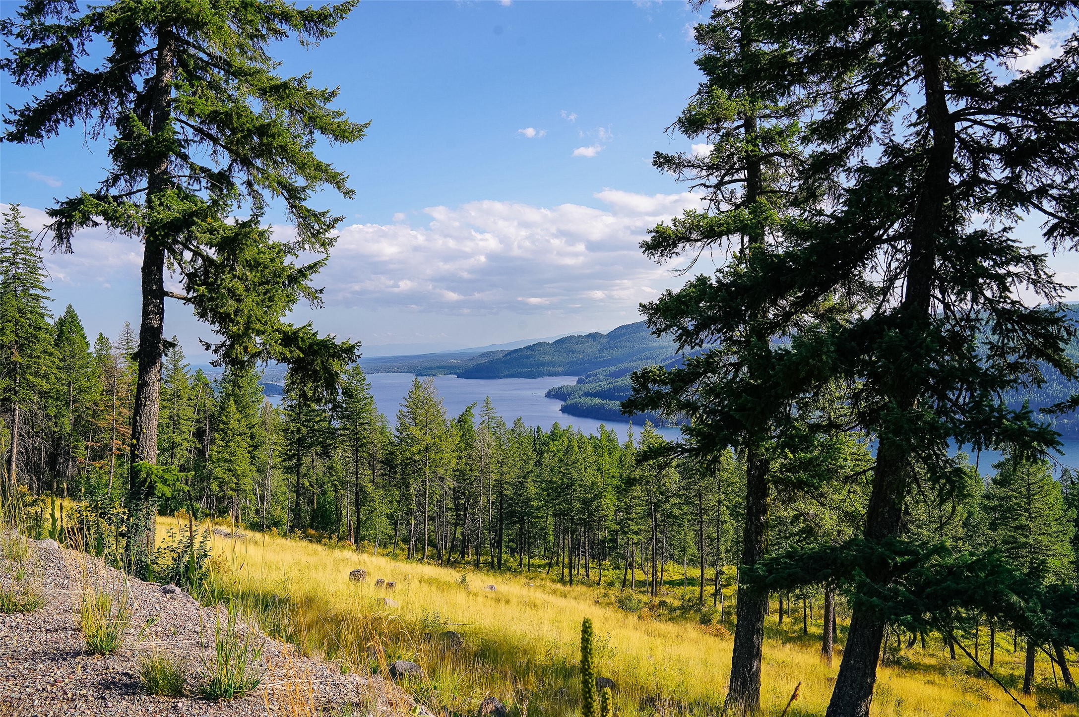 69 Eagle Creek Trail Property Photo 4