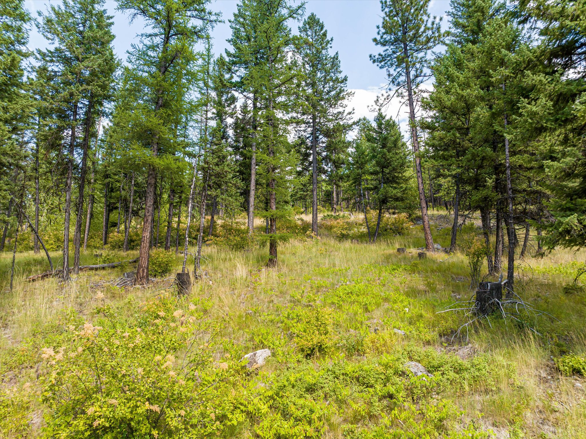 69 Eagle Creek Trail Property Photo 17