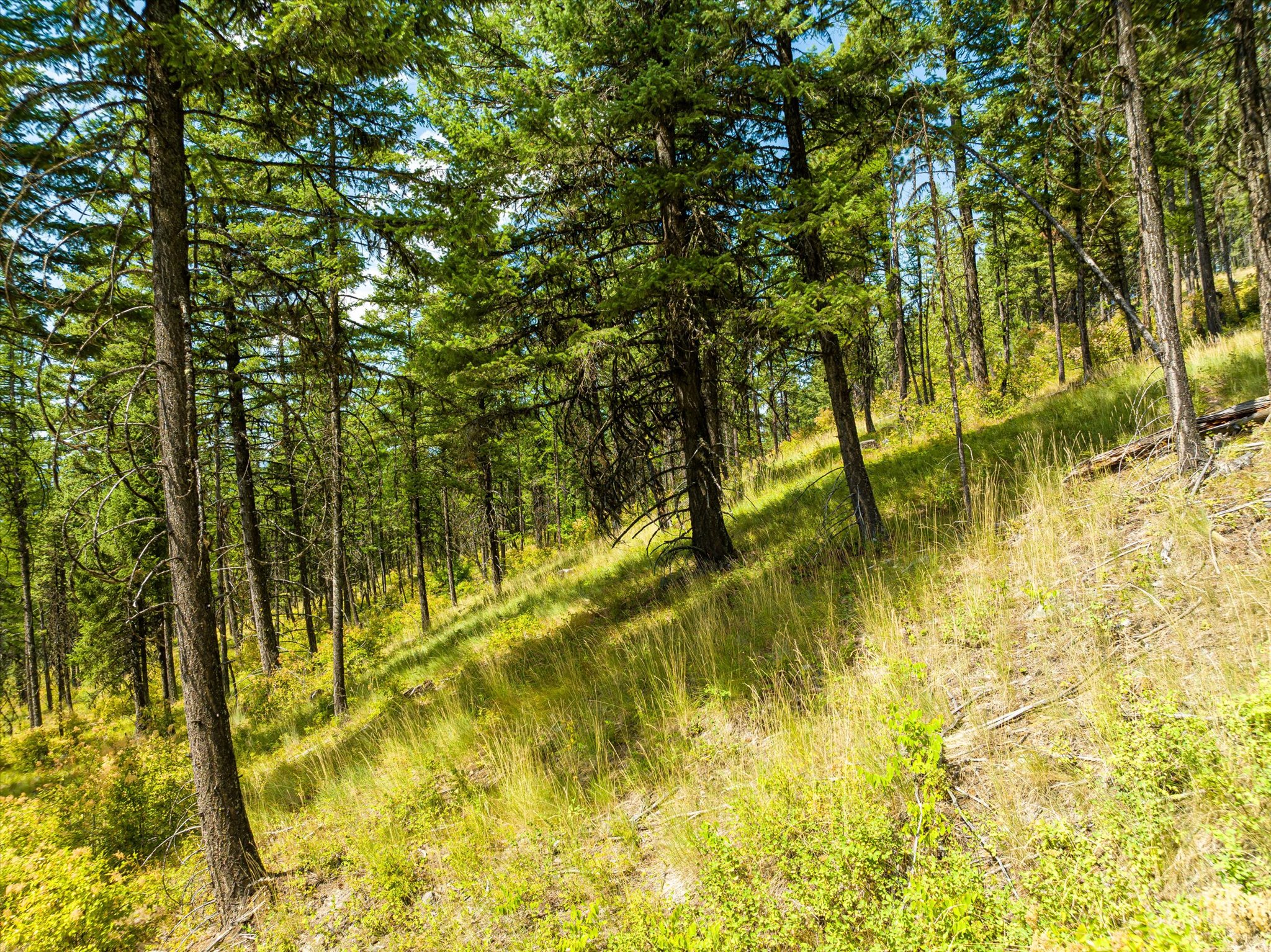 69 Eagle Creek Trail Property Photo 19