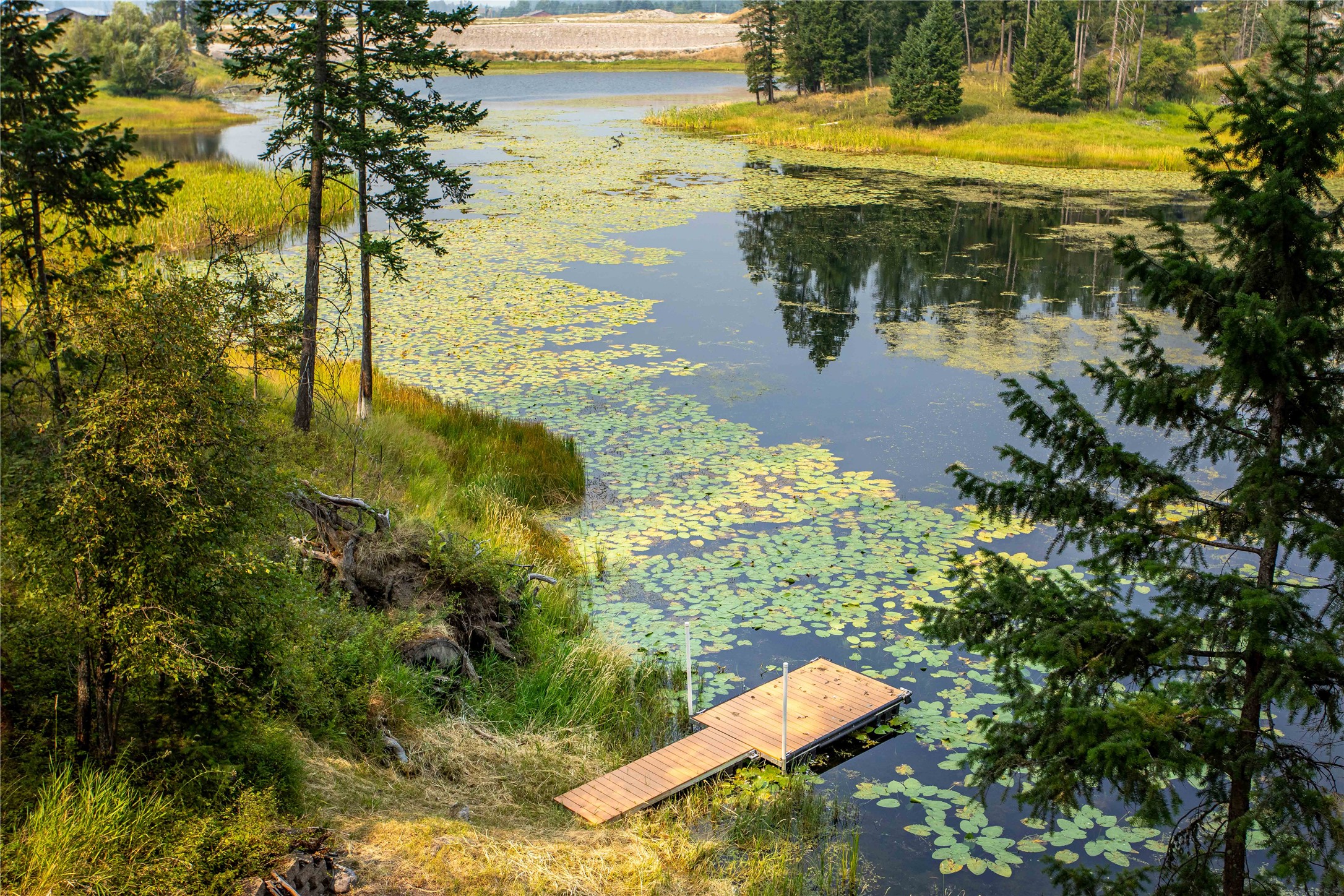 61 Bear Paw Loop Property Photo 41
