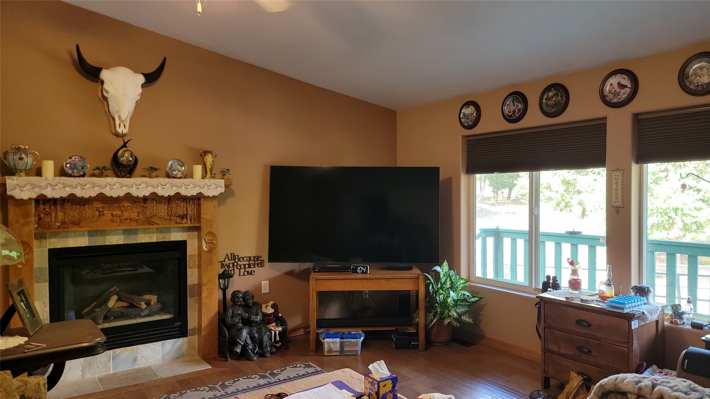 729 Sunrise Creek Road Property Photo 19