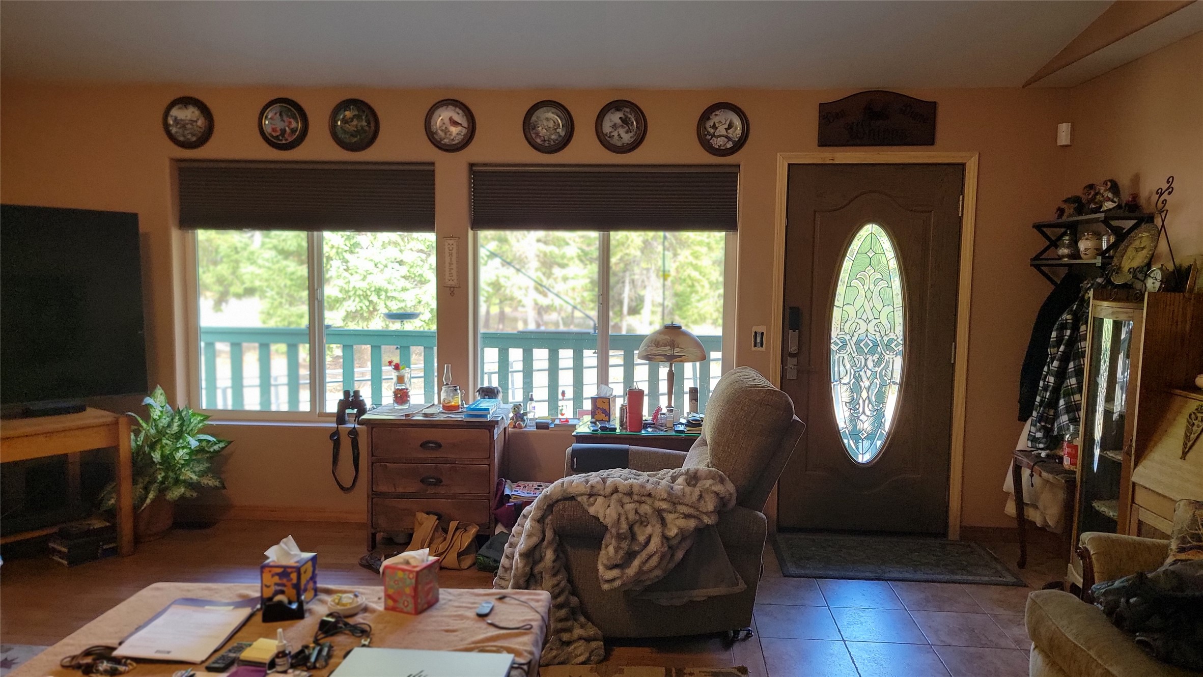 729 Sunrise Creek Road Property Photo 20