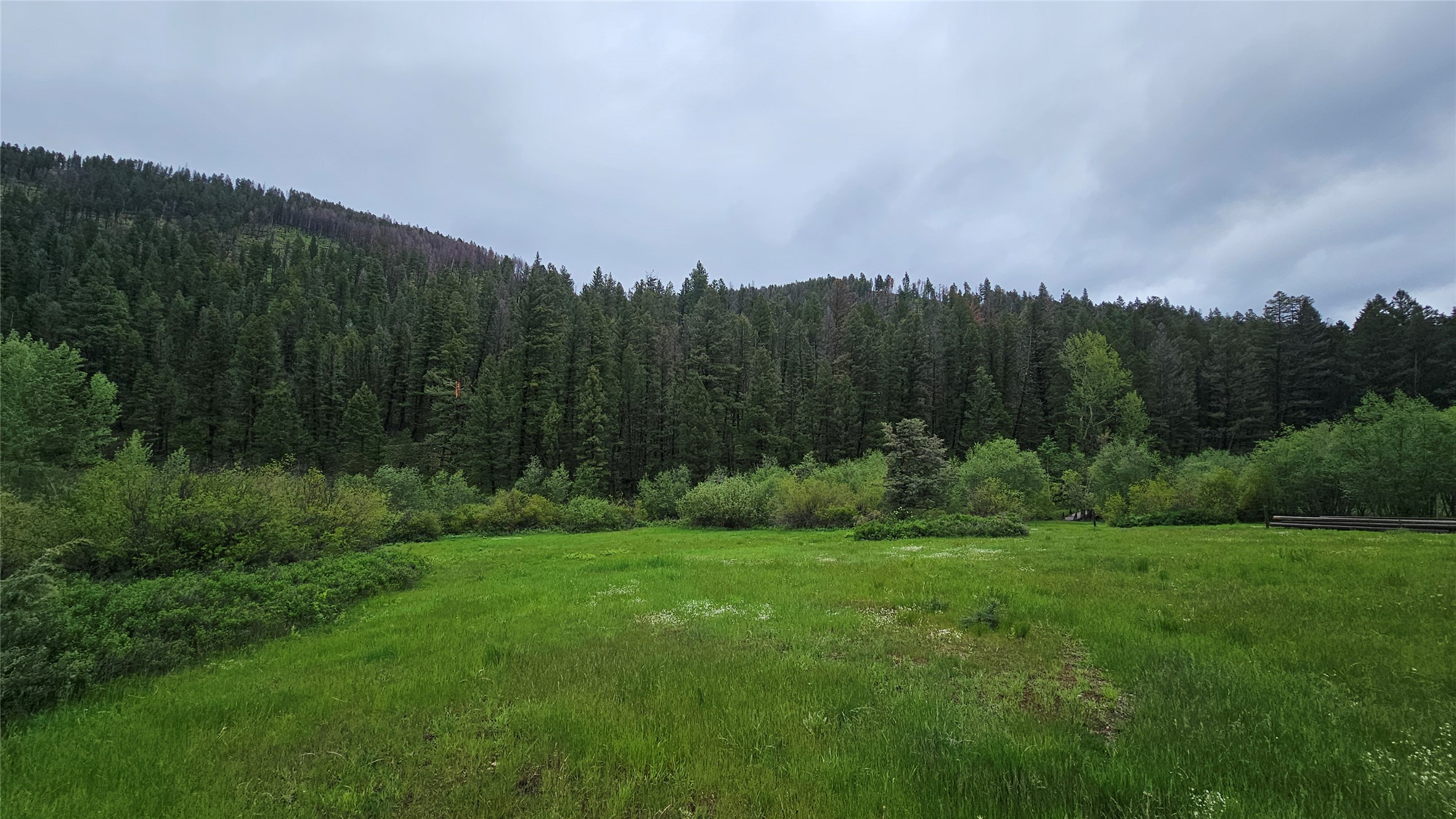 3040 Stemple Pass Road Property Photo 29