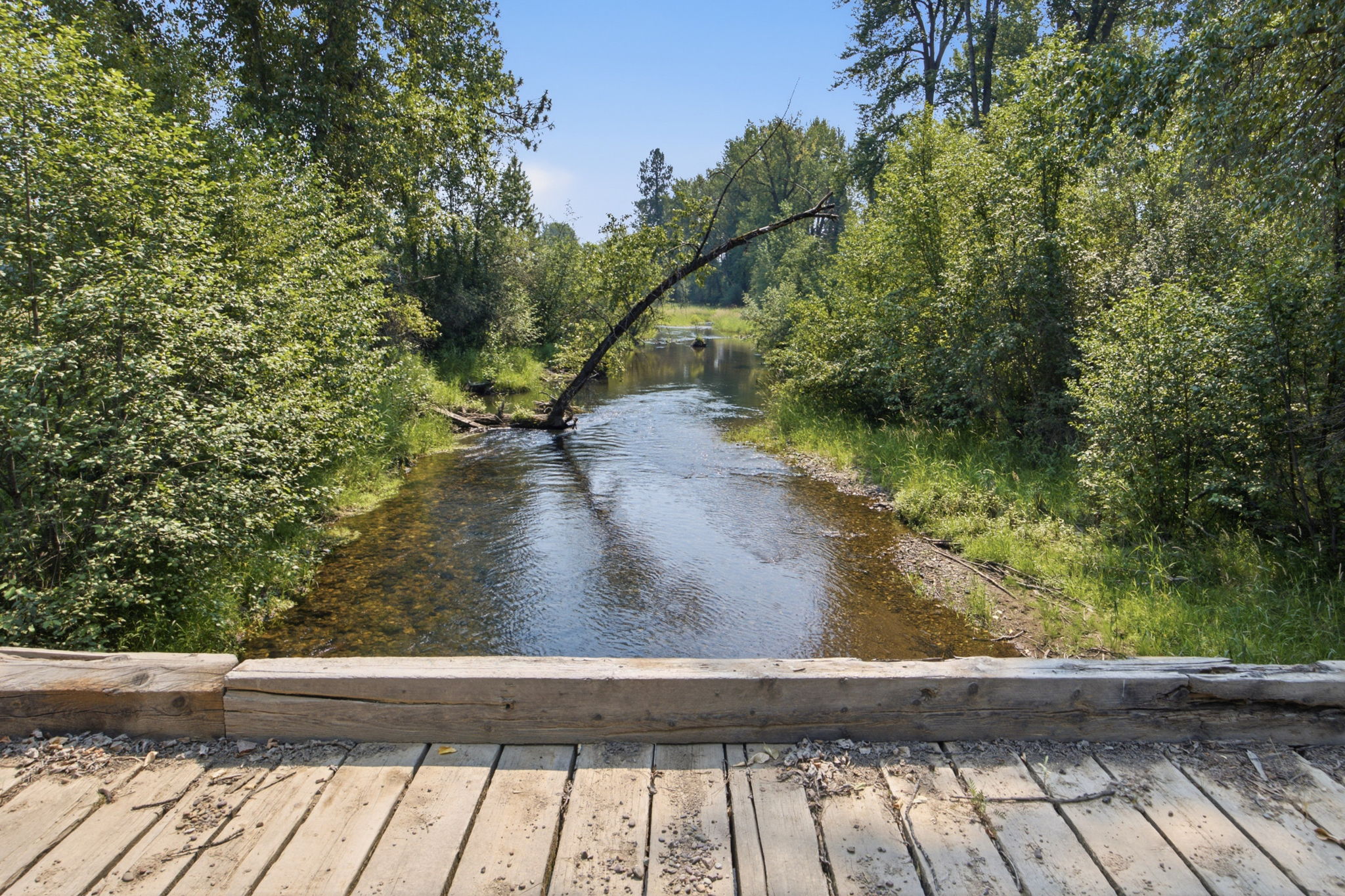 34500 Cedar Creek Road Property Photo 5
