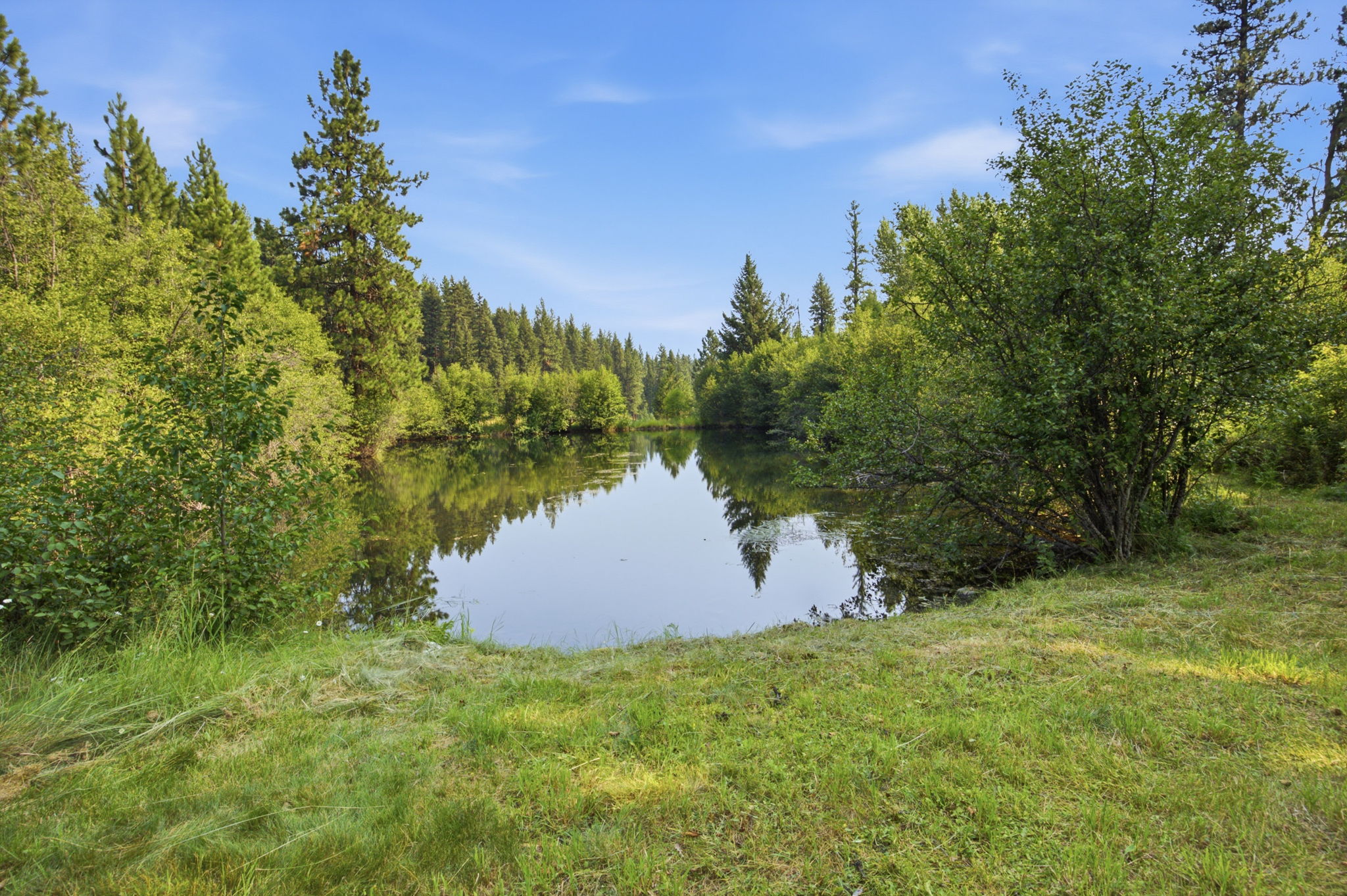 34500 Cedar Creek Road Property Photo 6