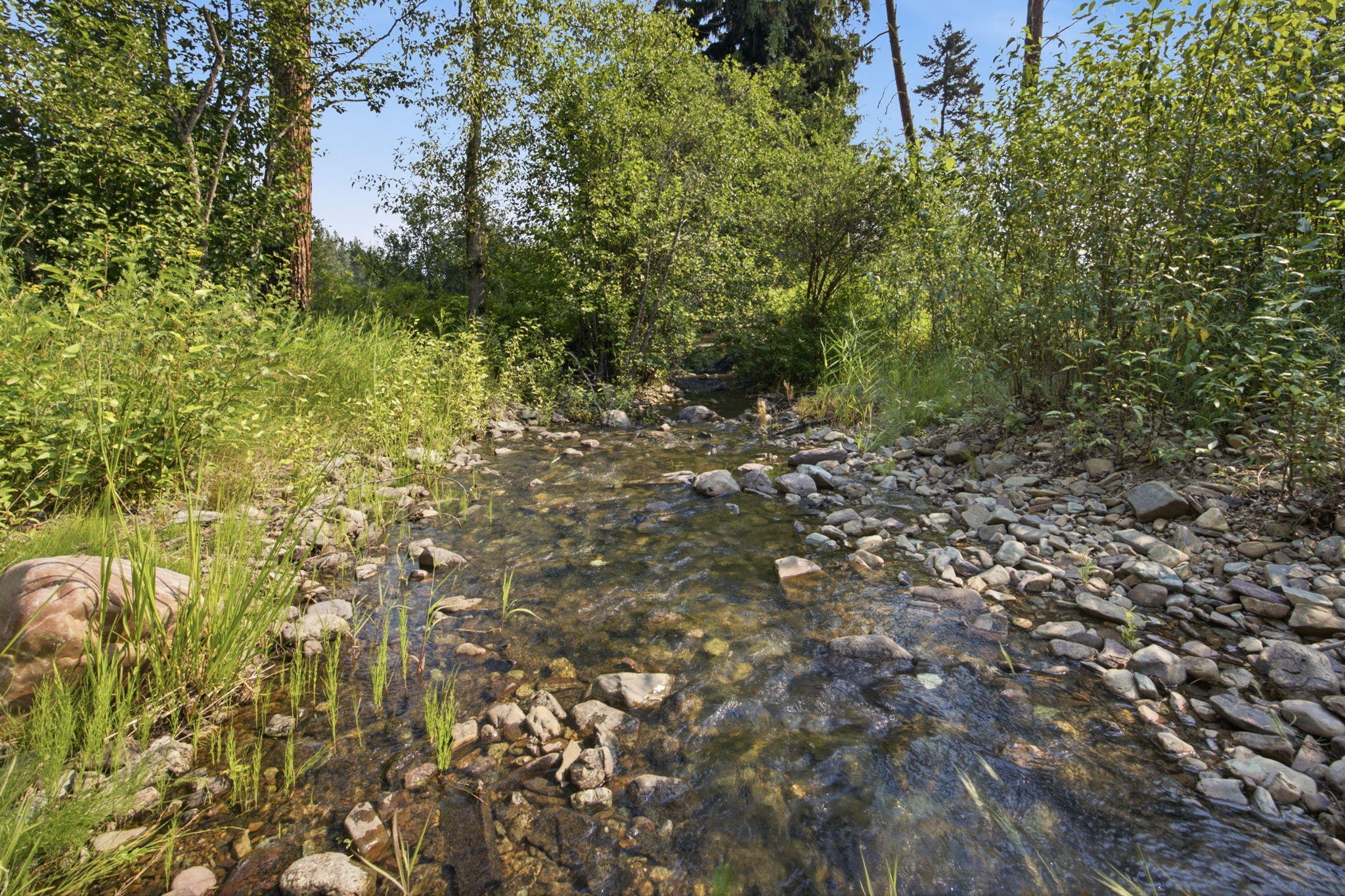 34500 Cedar Creek Road Property Photo 83