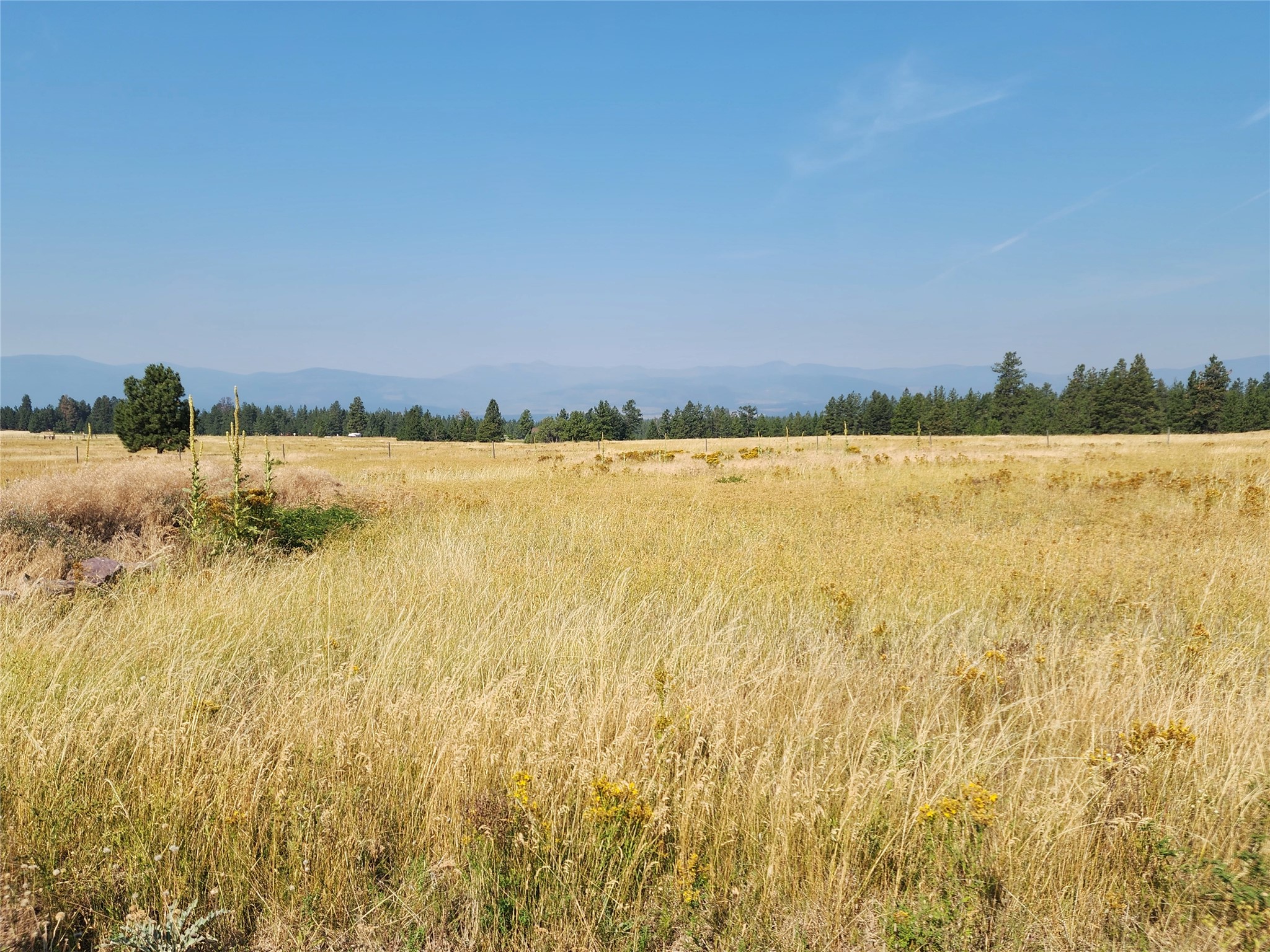 6359 Airport Road Property Photo 14