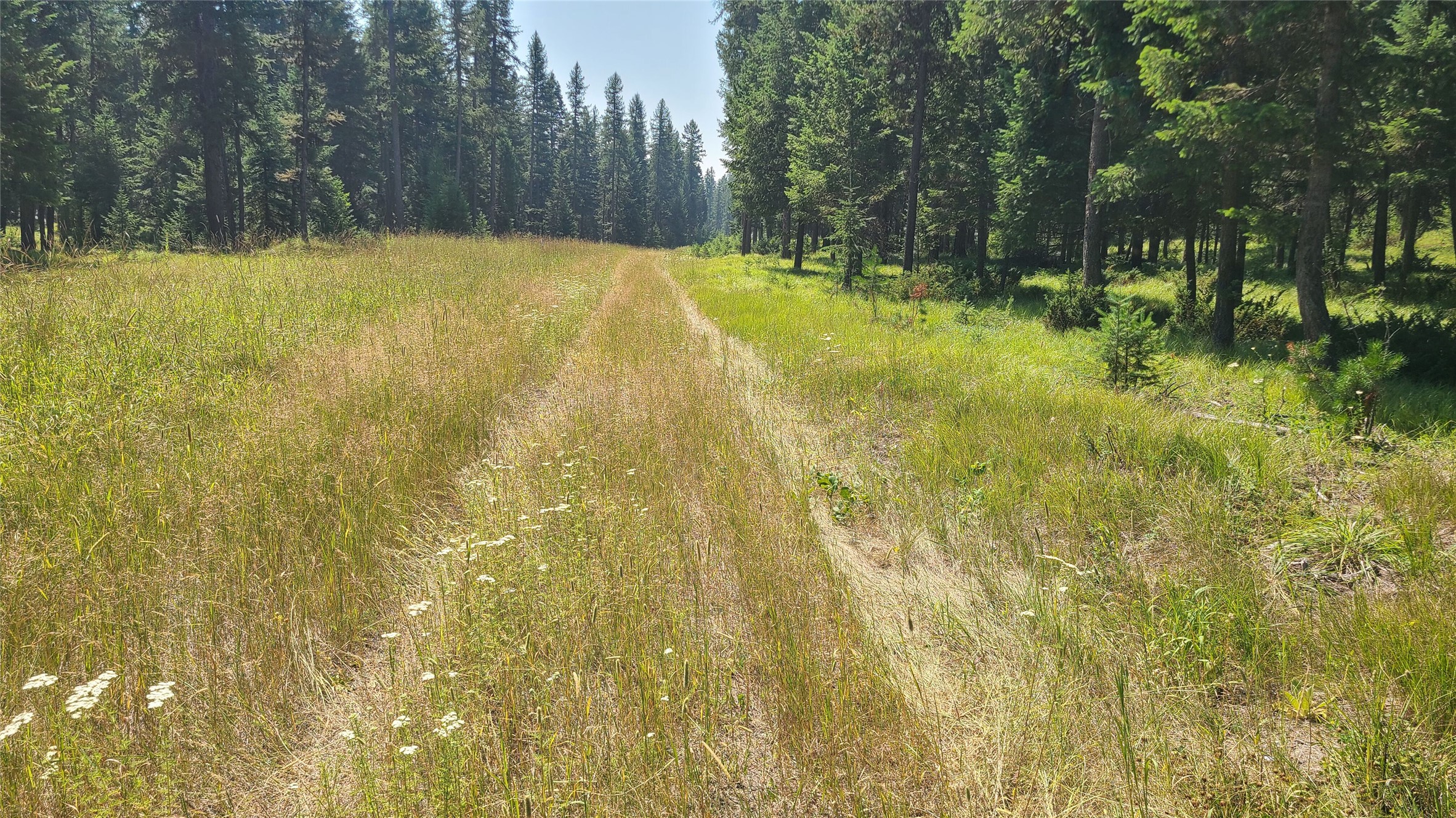 128 Whitefish Forest Loop Property Photo 1
