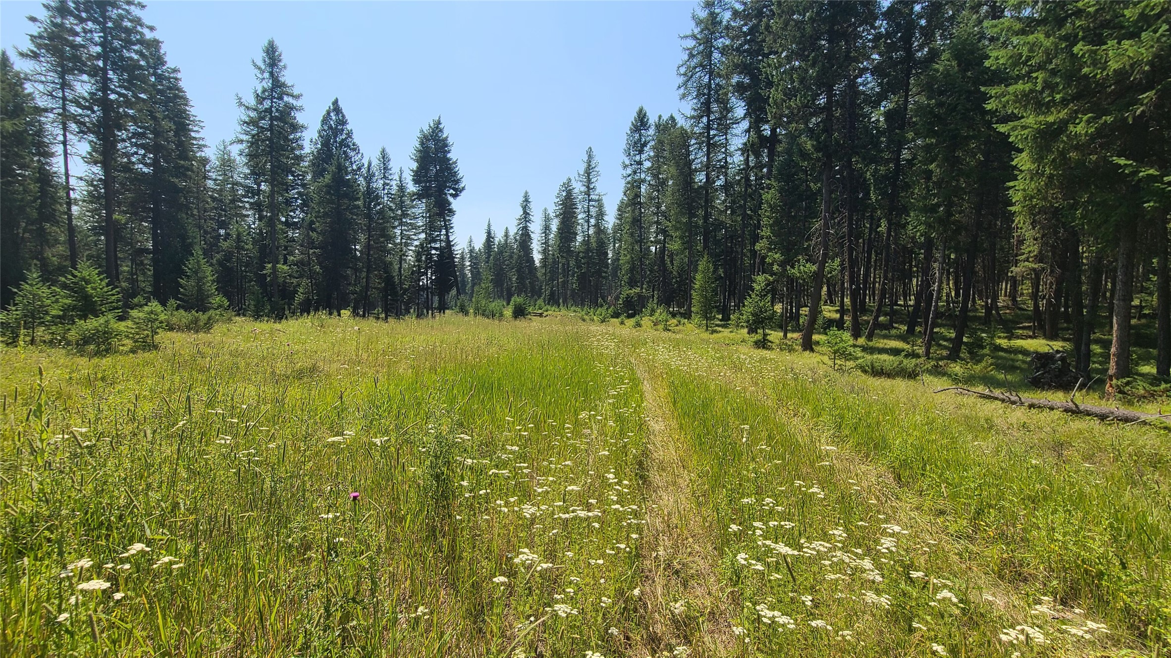 128 Whitefish Forest Loop Property Photo 2