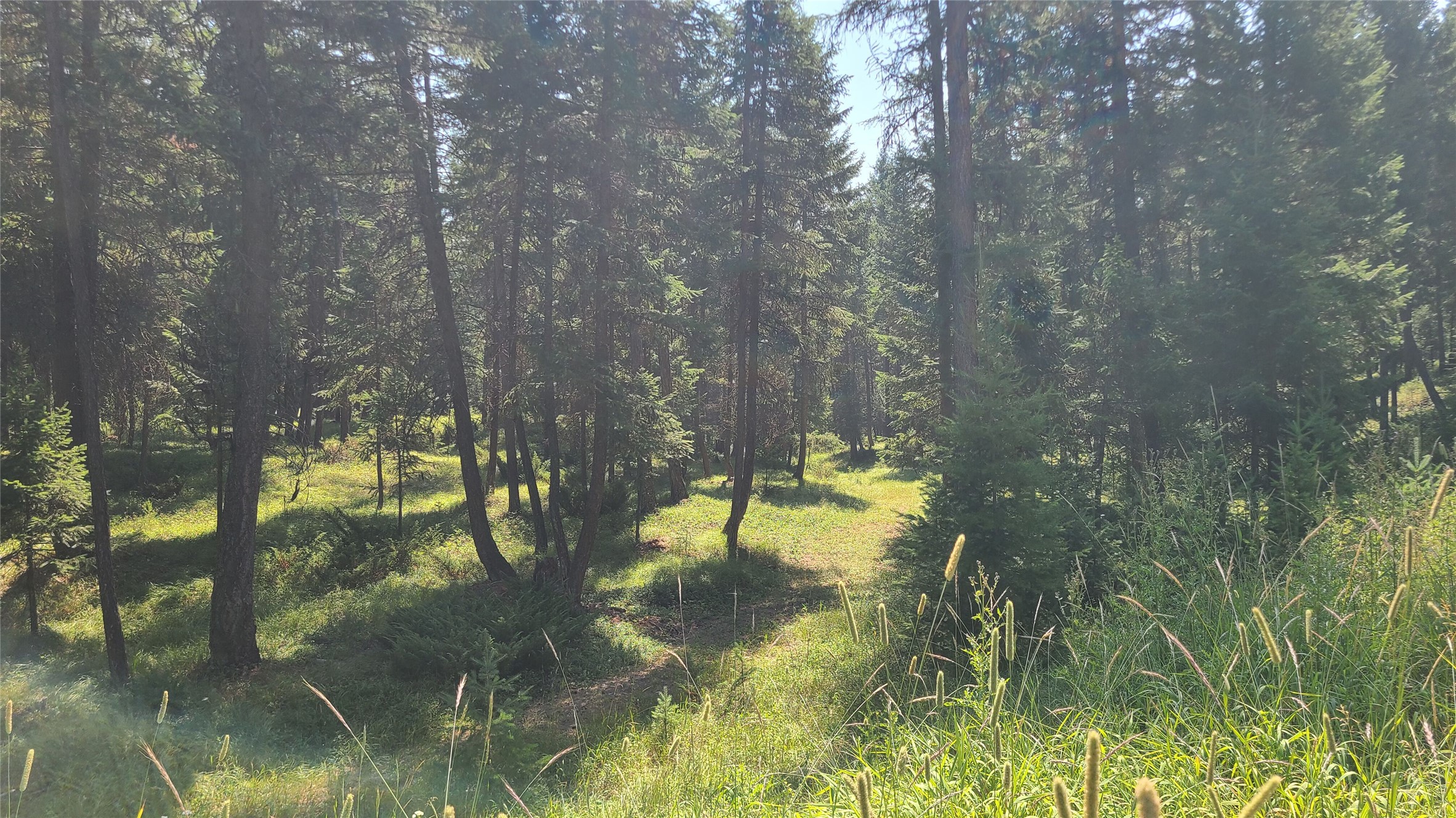 128 Whitefish Forest Loop Property Photo 3